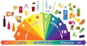 pH Spectrum with food images.