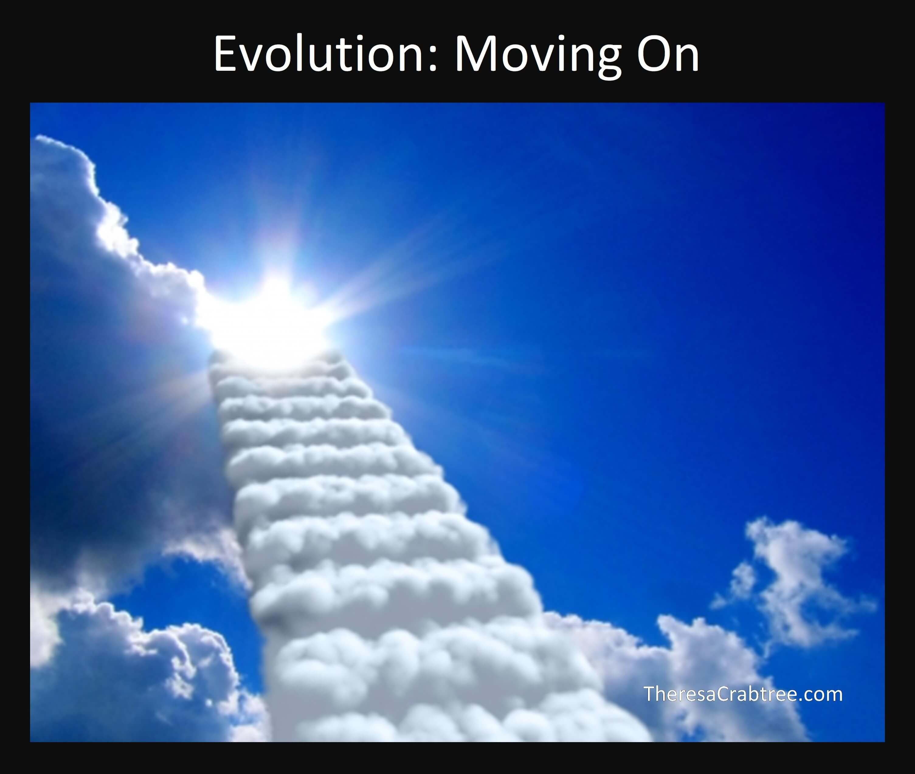 Read more about the article Evolution: Moving On