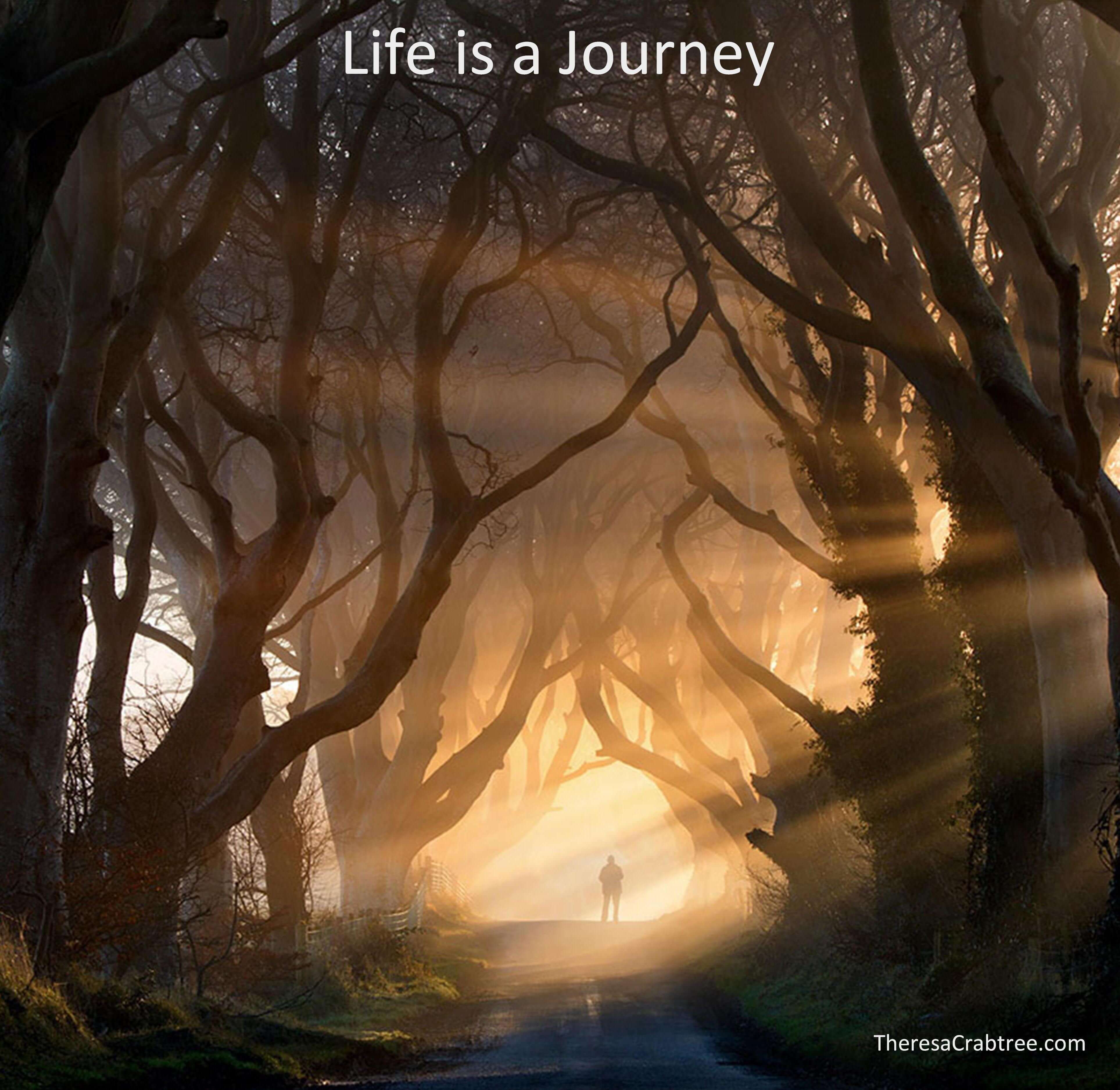 Read more about the article Life is a Journey