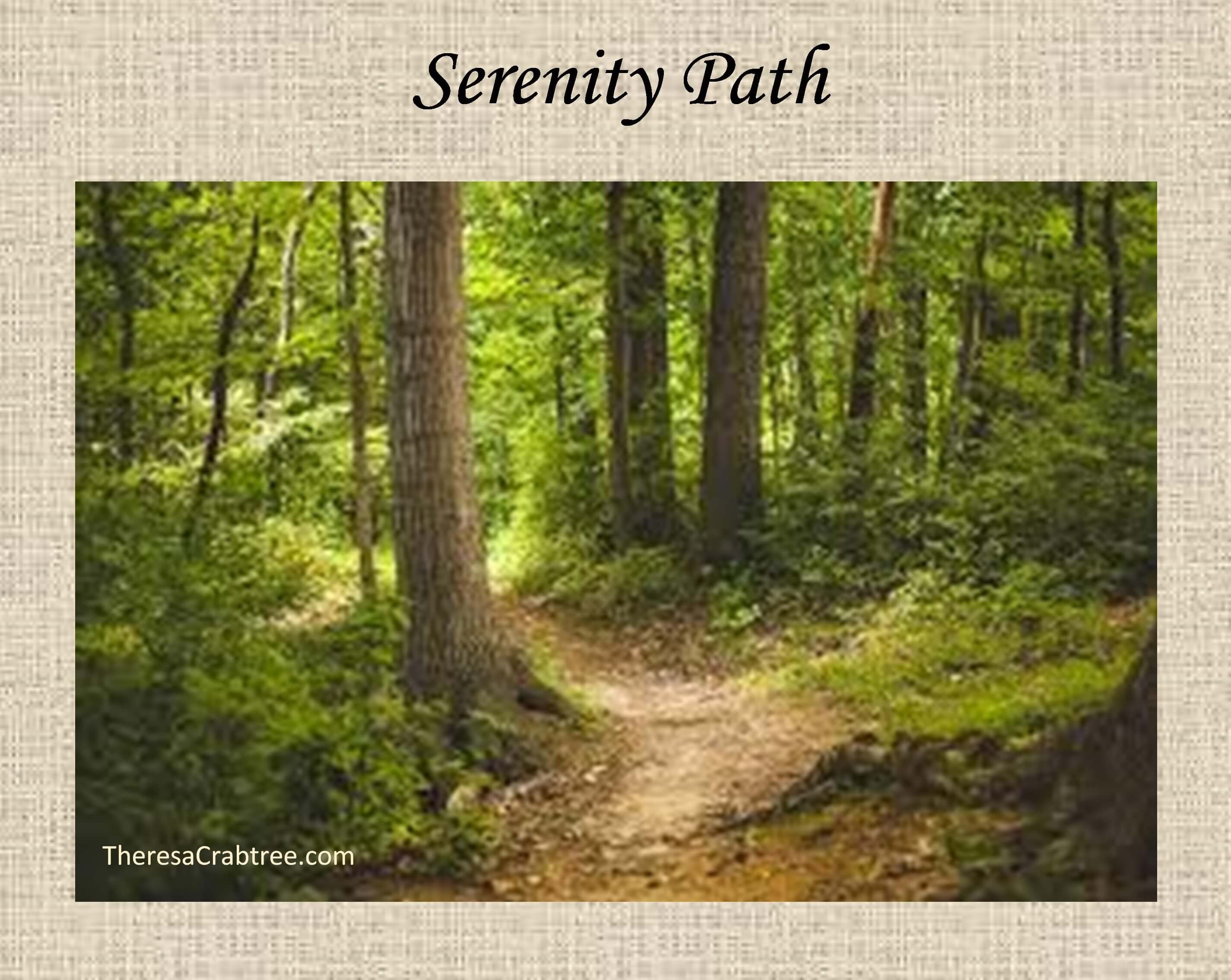 Read more about the article Soul Connection 251 ~ Serenity Path