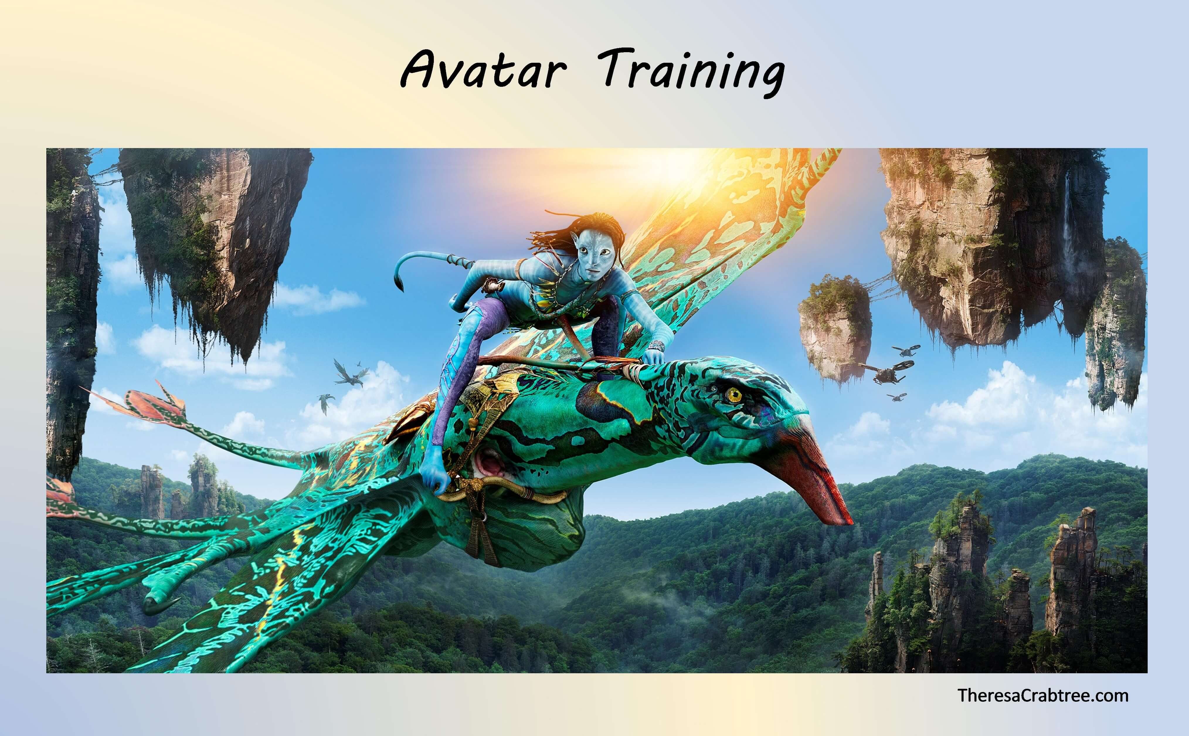 Read more about the article Soul Connection 255 ~ Avatar Training