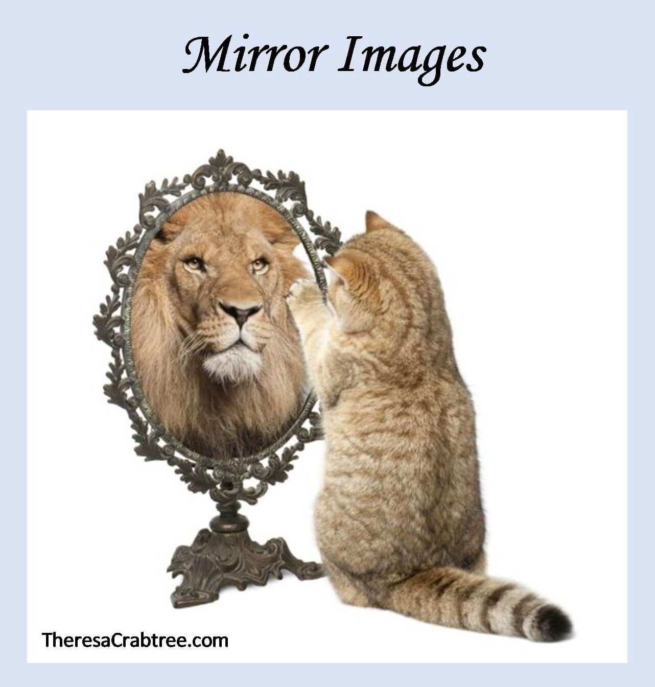 Read more about the article Mirror Images