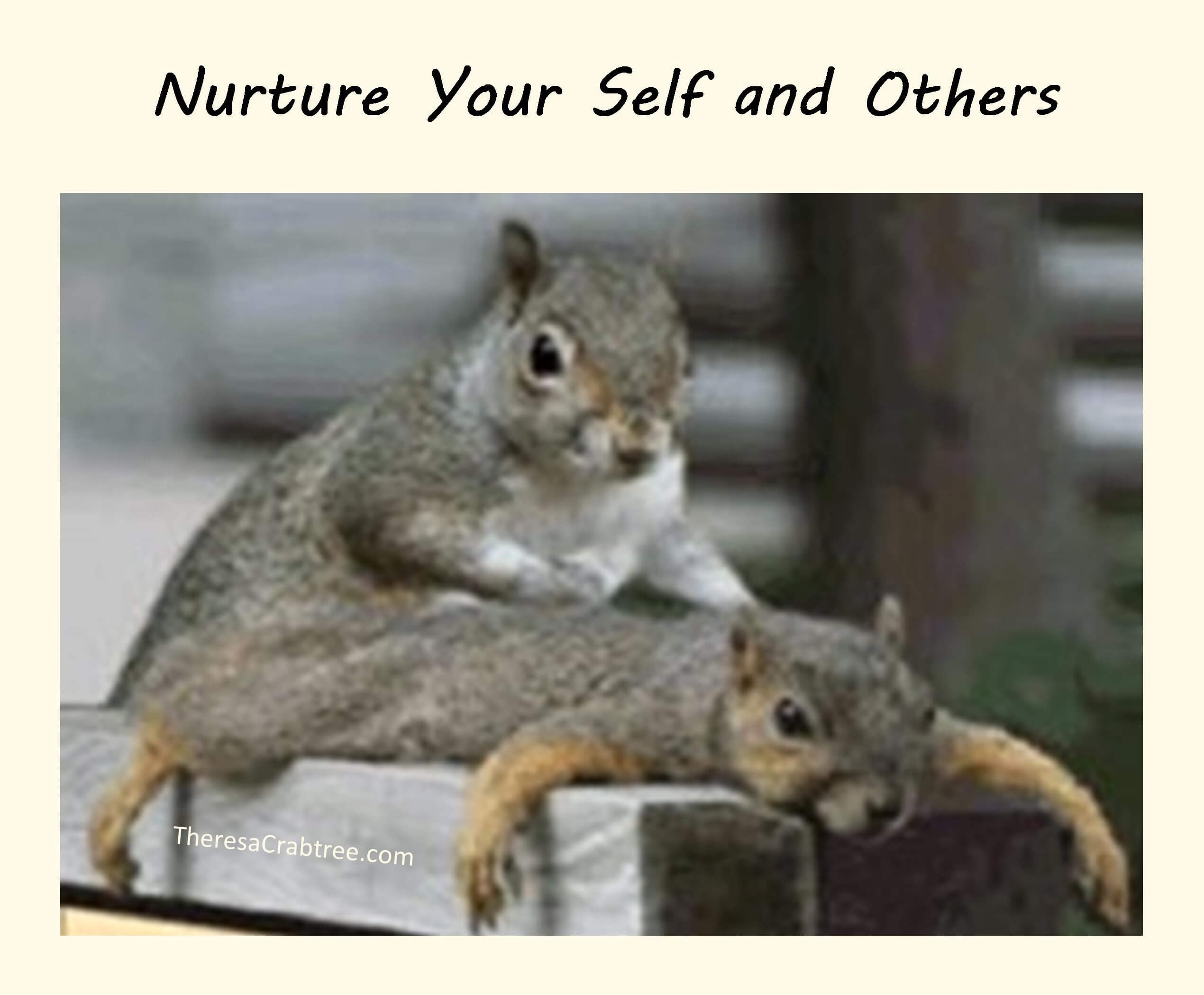 Read more about the article Soul Connection 14 ~ Nurture Your Self
