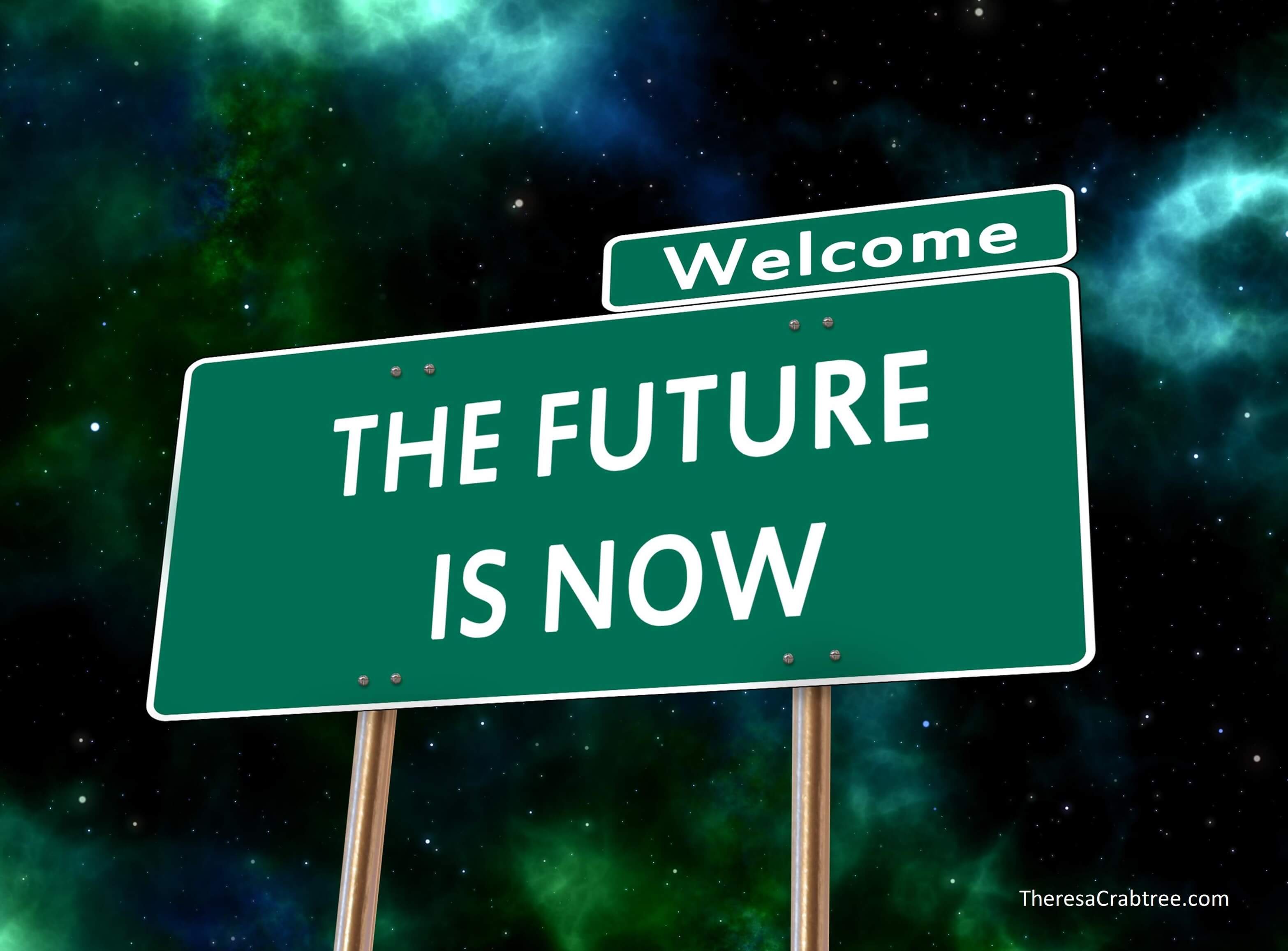 Read more about the article Soul Connection 17 ~ The Future is Now