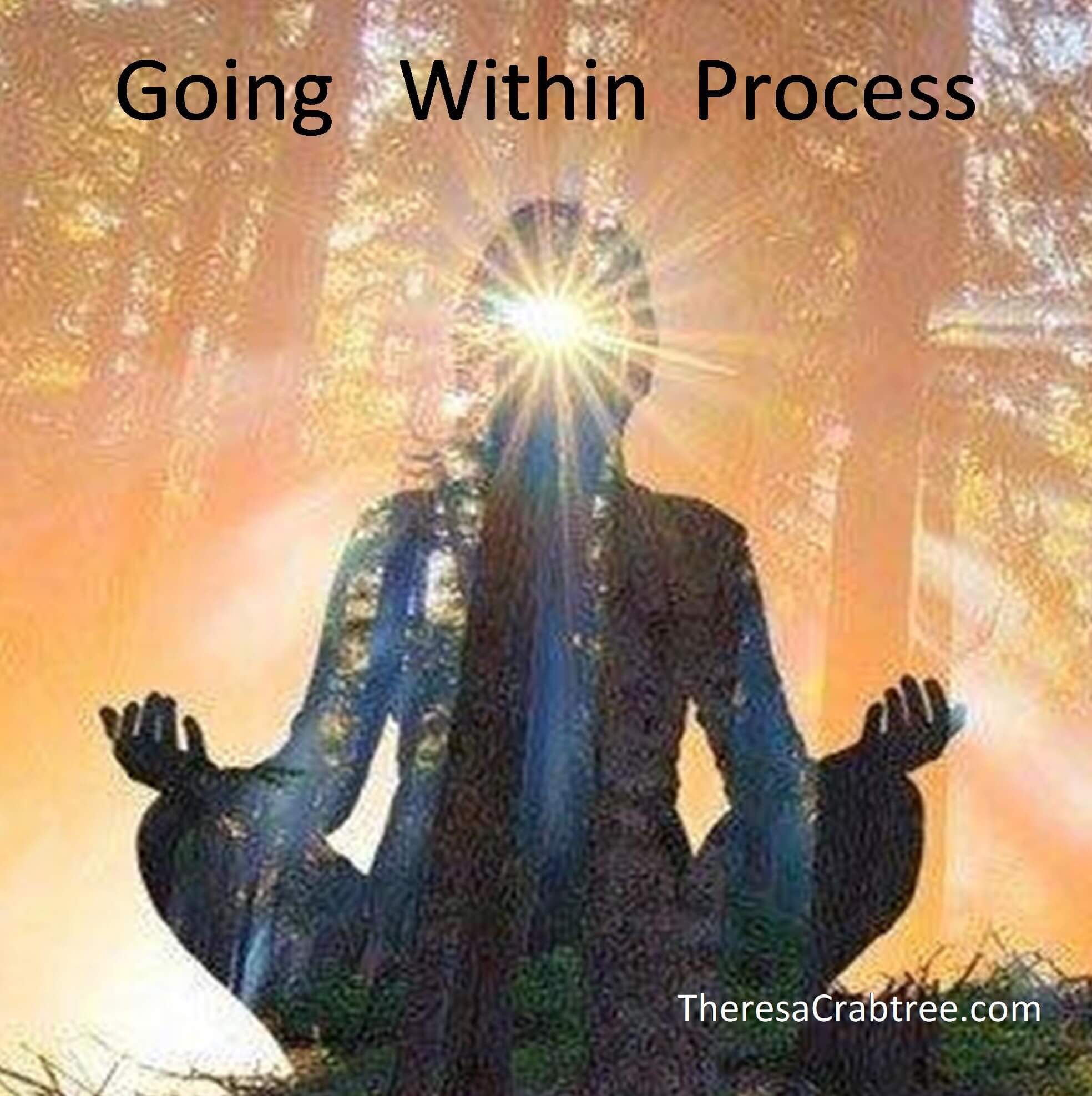 Read more about the article Soul Connection 27 ~ Going Within Process