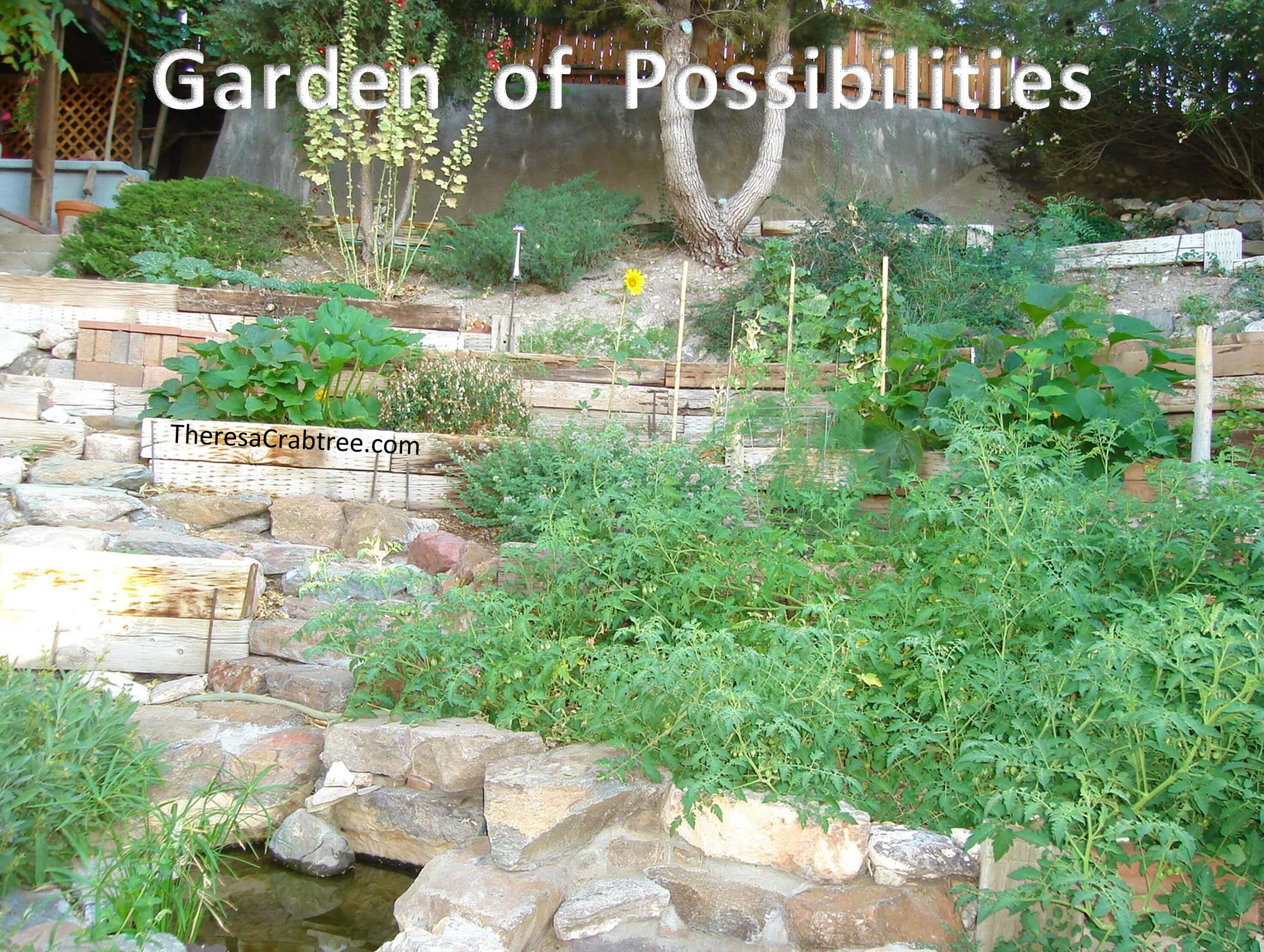 Read more about the article Soul Connection 28 ~ Garden of Possibilities