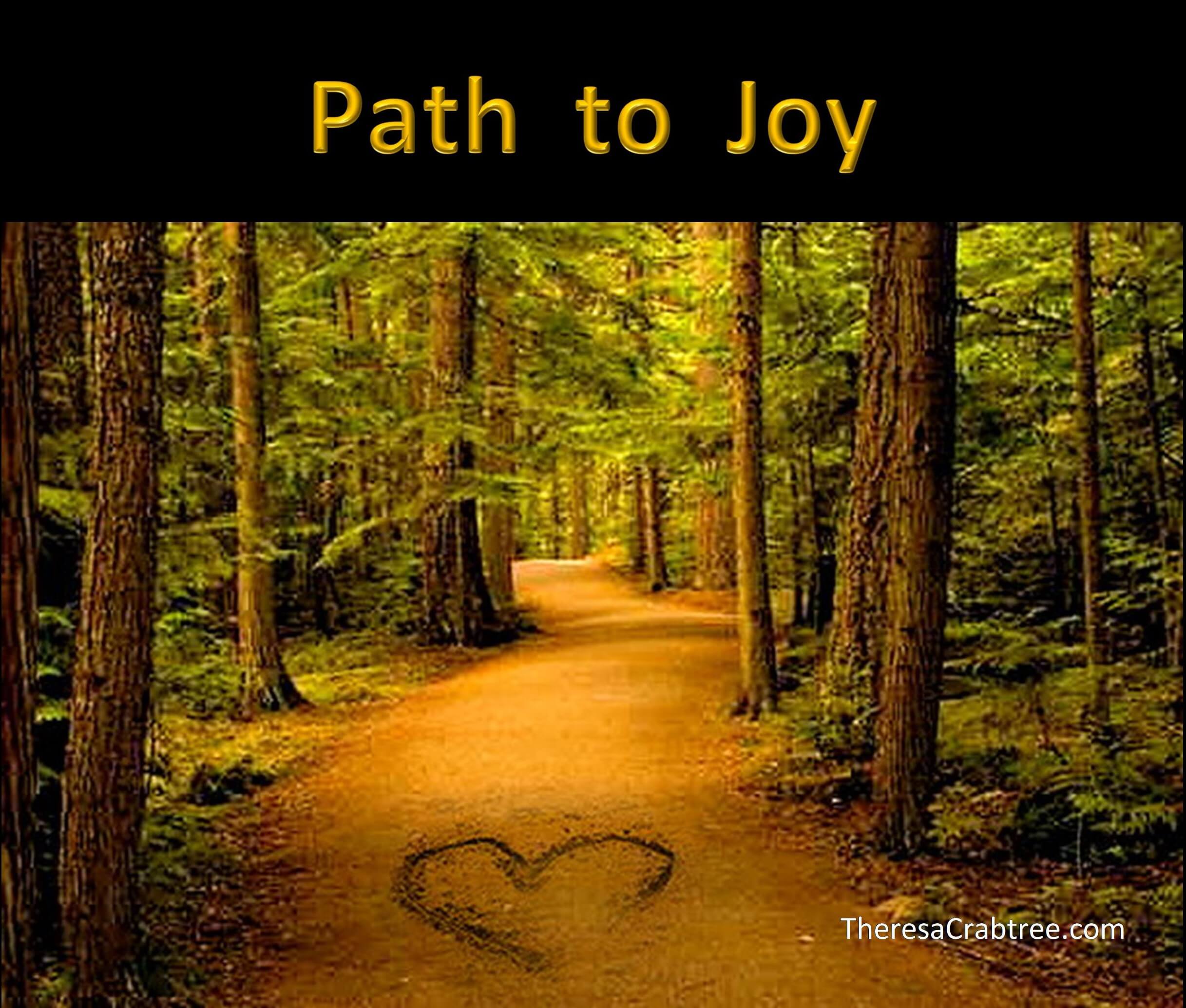 Read more about the article Soul Connection 31 ~ Path to Joy