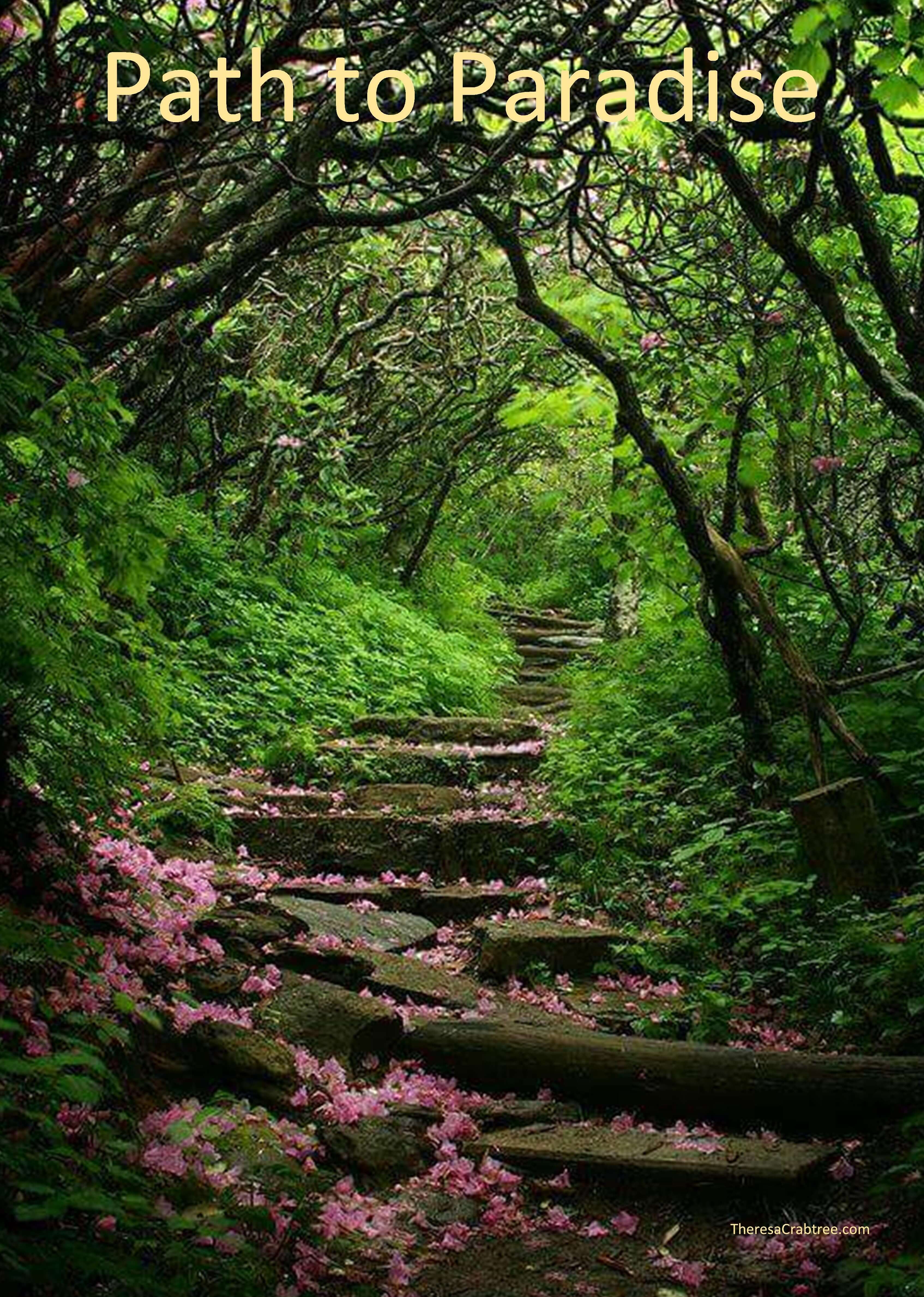 Read more about the article Soul Connection 52 ~ Path to Paradise