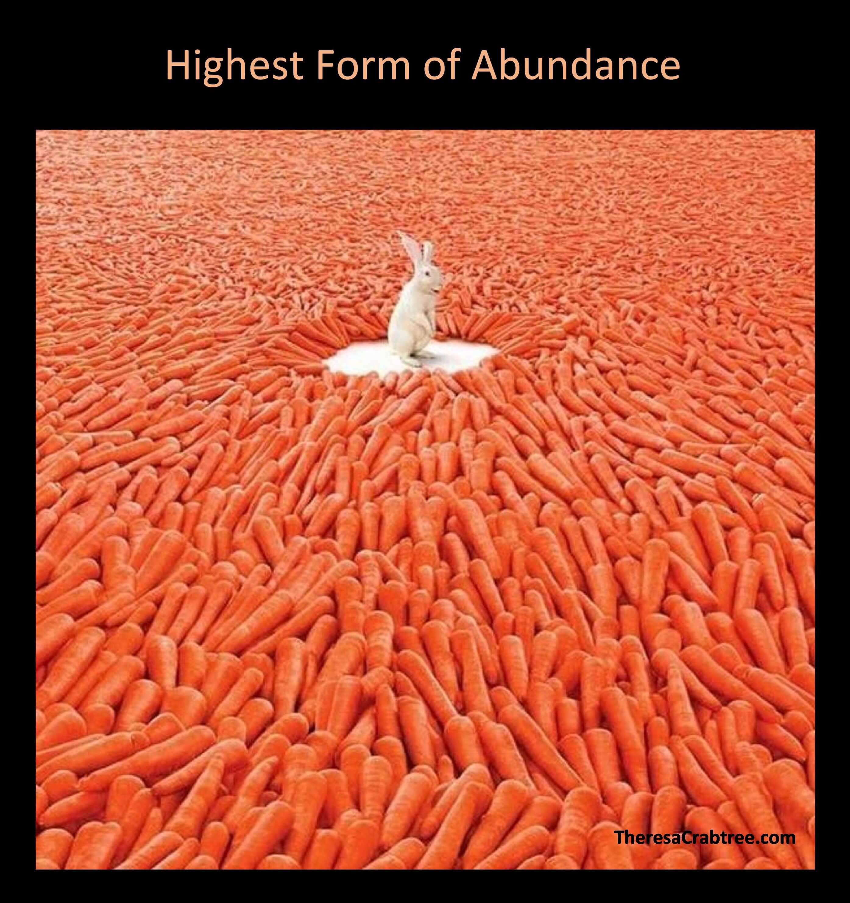 Read more about the article Soul Connection 64 ~ Highest Form of Abundance