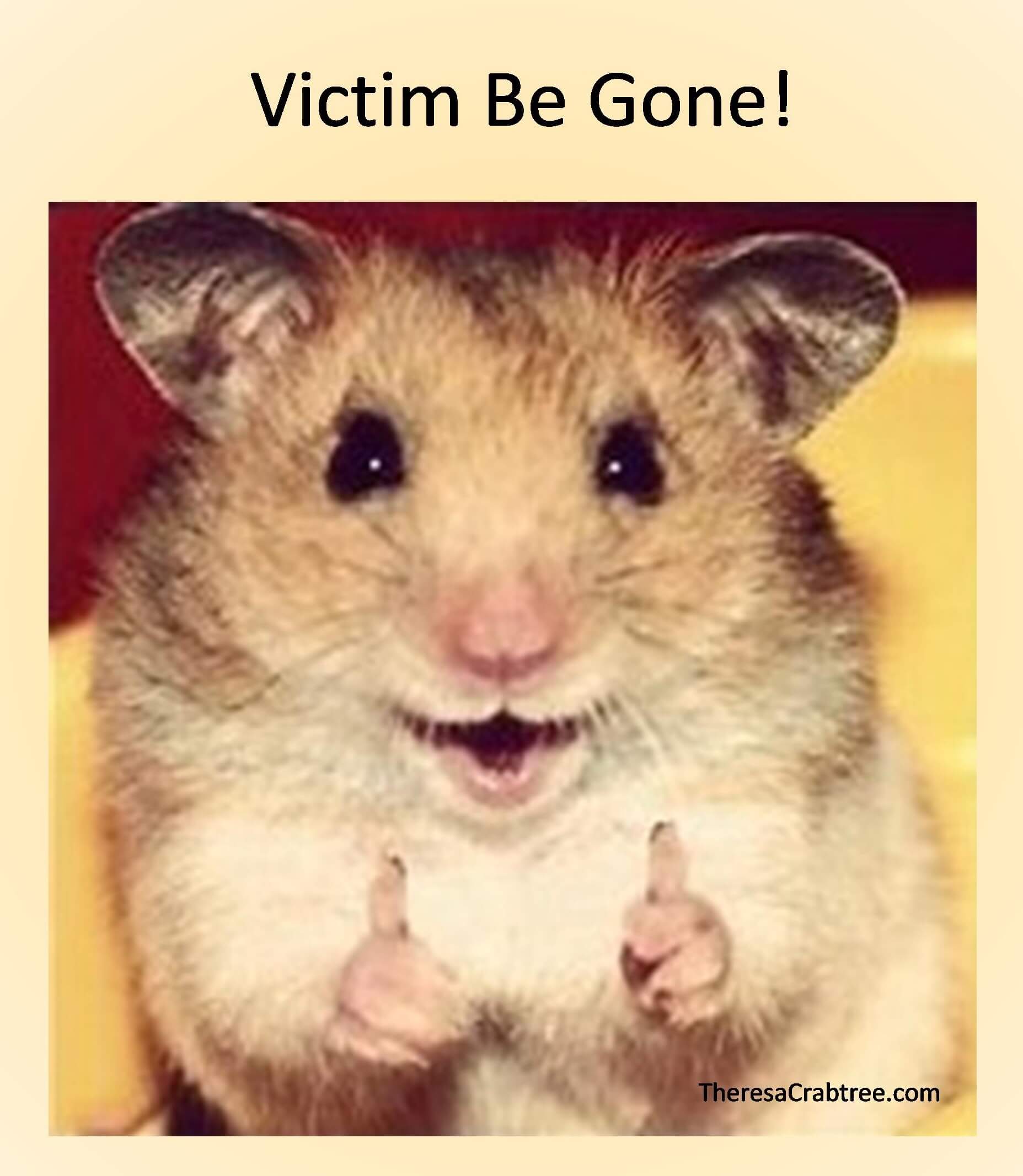 Read more about the article Soul Connection 74 ~ Victim Be Gone!