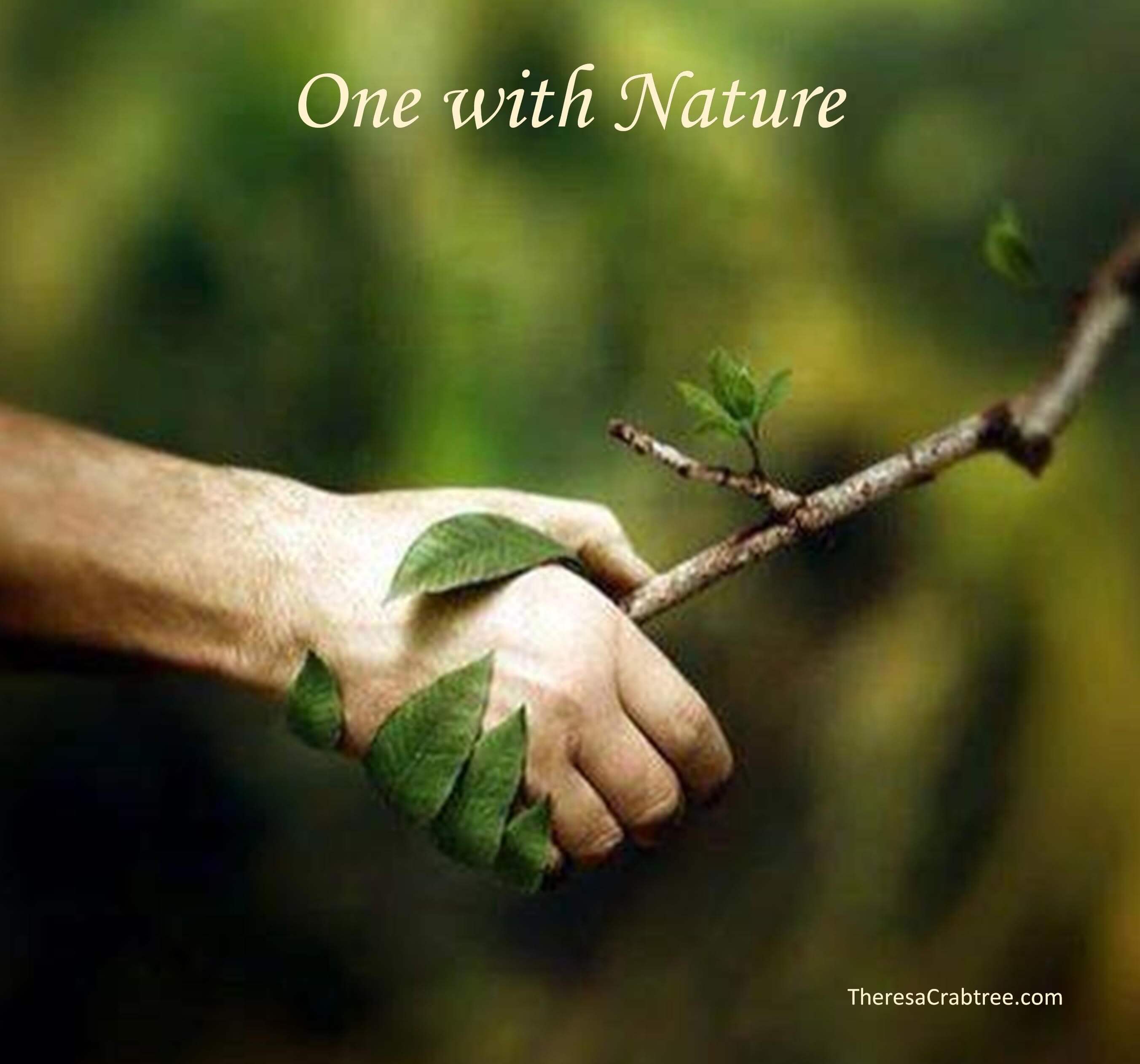 Read more about the article Soul Connection 93 ~ Meditation: One With Nature