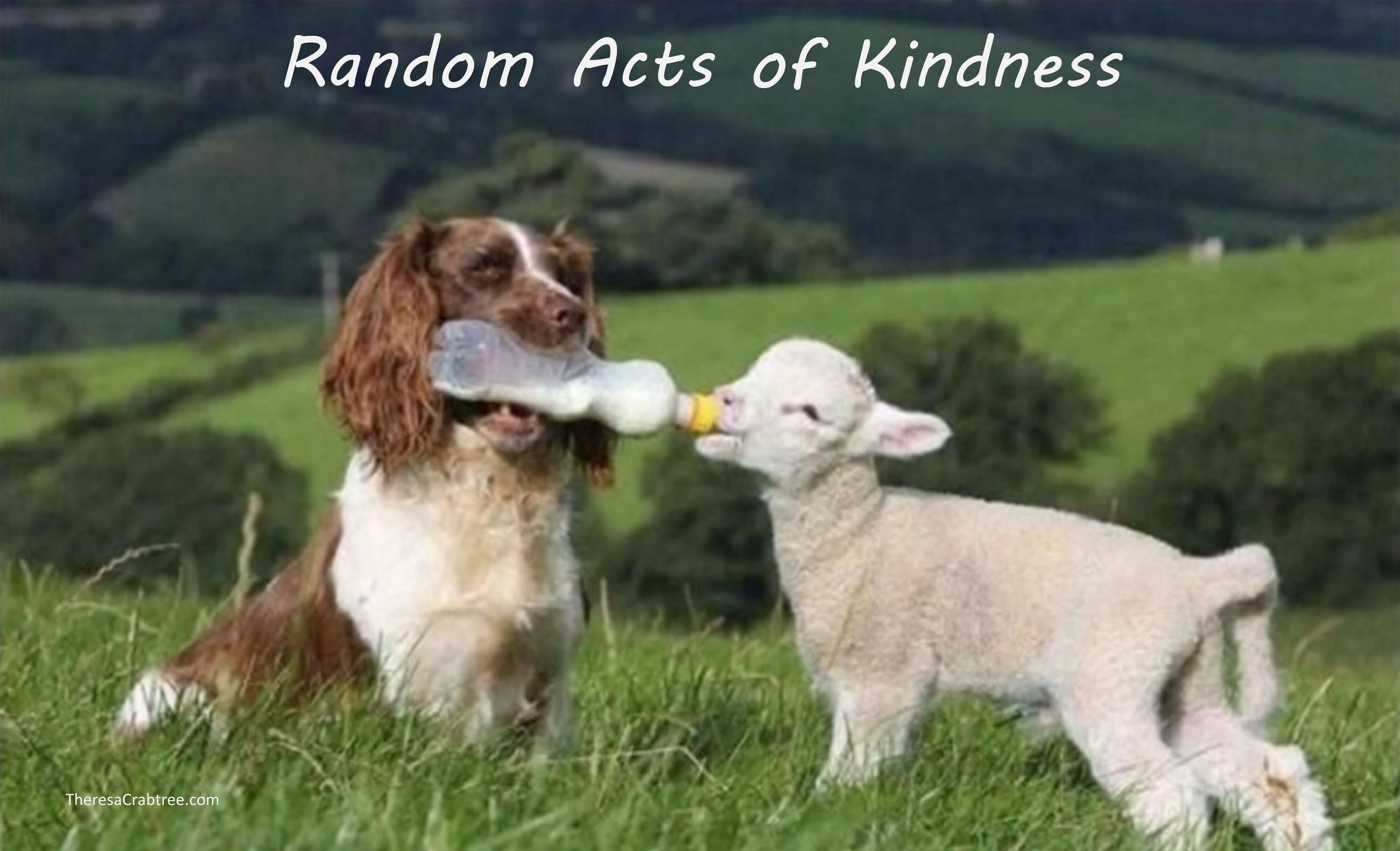 Read more about the article Soul Connection 105 ~ Random Acts of Kindness