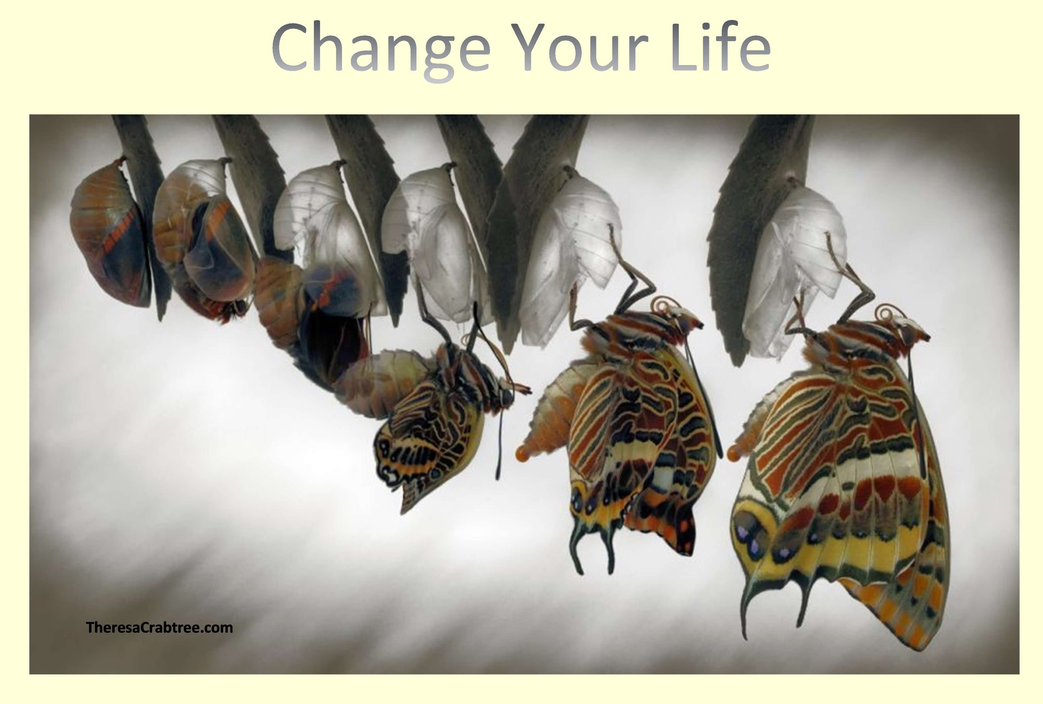 Read more about the article Change your life!