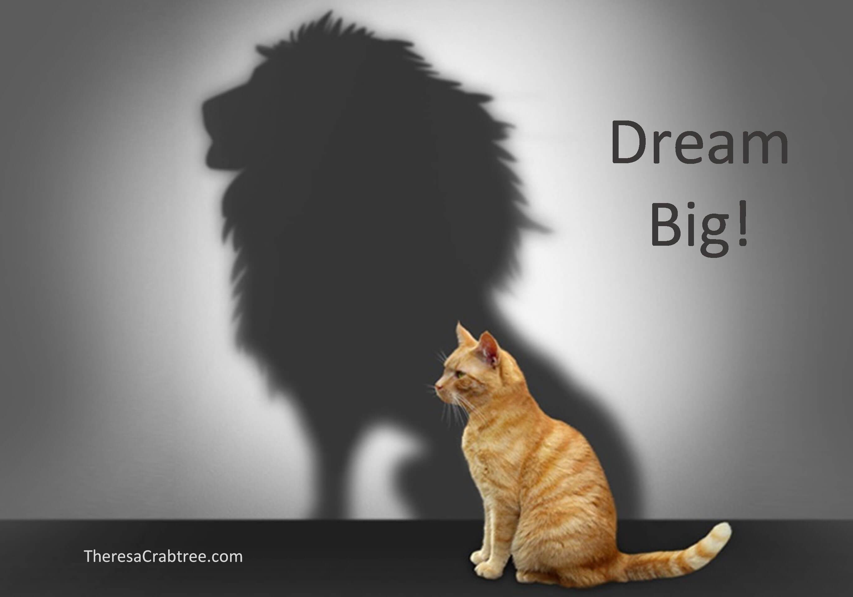 Read more about the article Prepare to Dream Big!