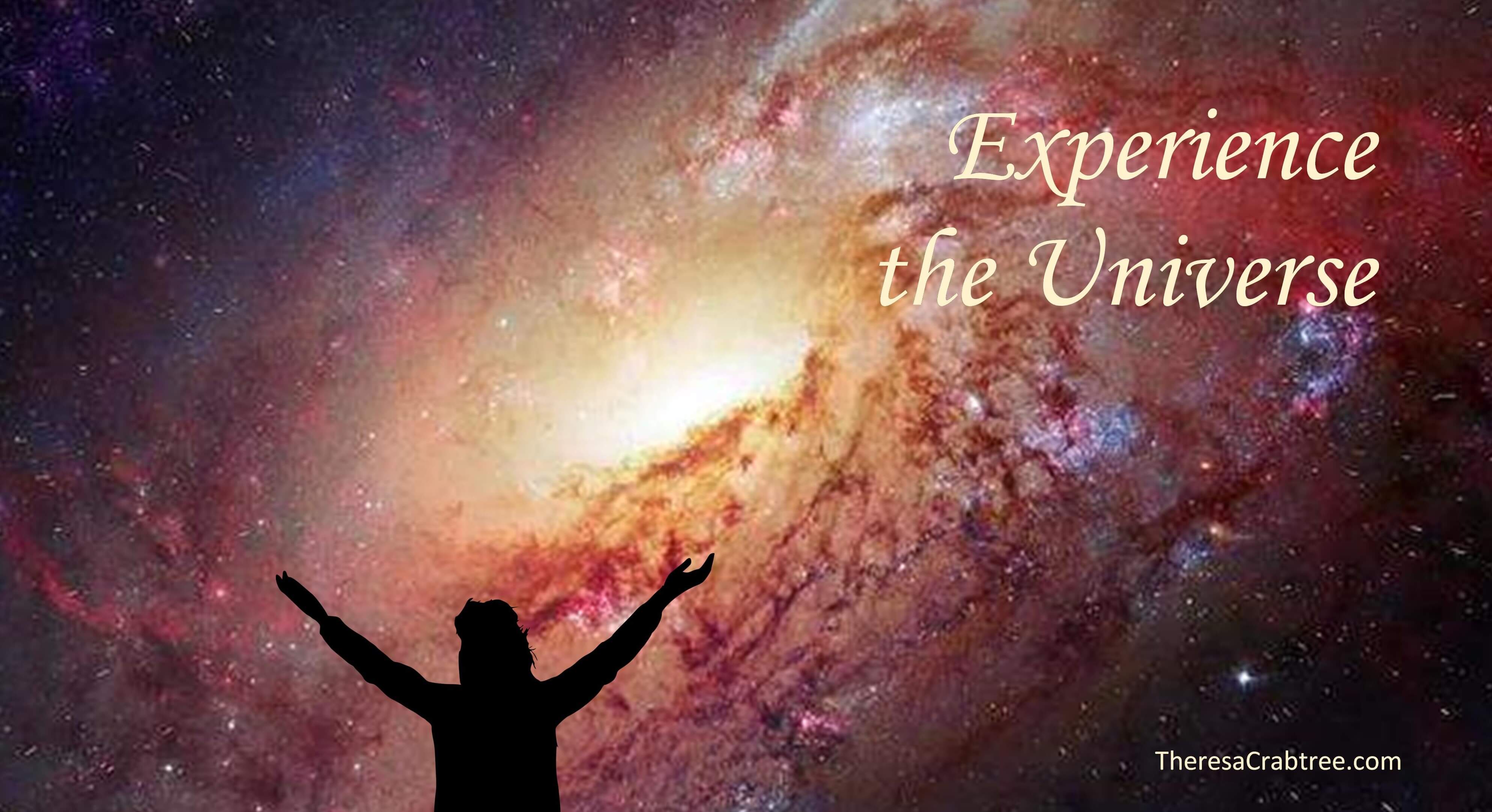 Read more about the article Experience the Universe