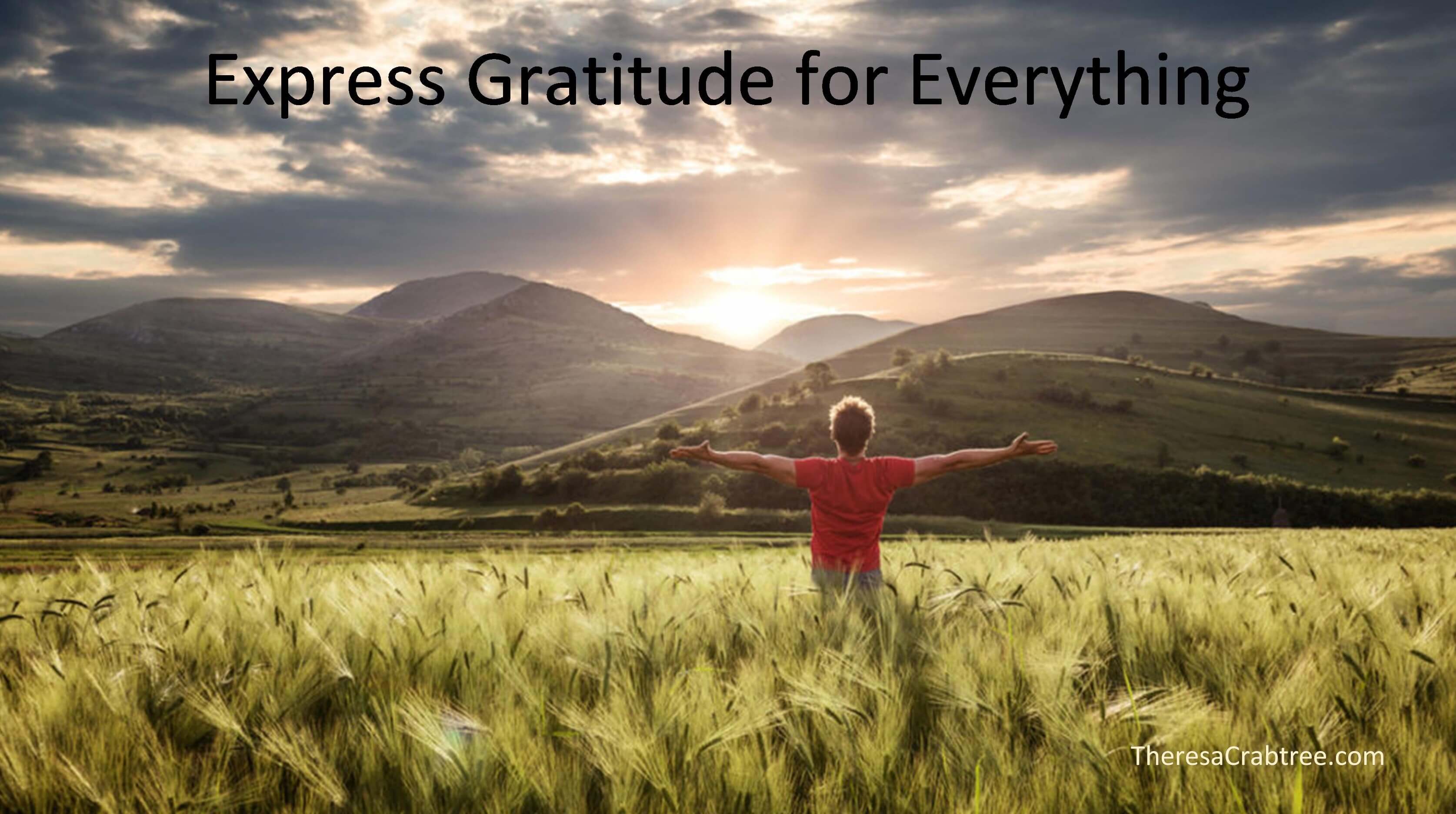 Read more about the article Express Gratitude