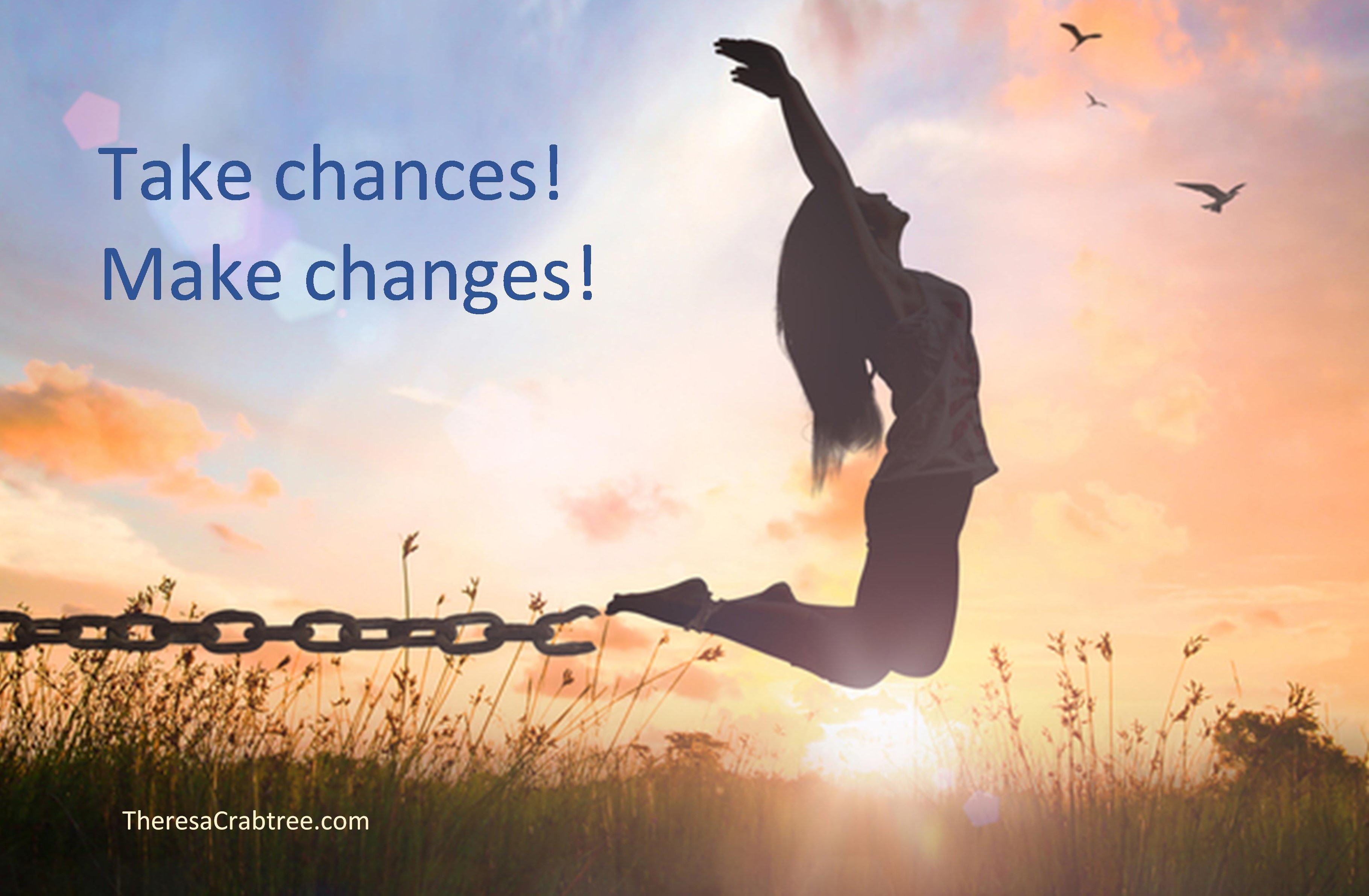 Read more about the article Take Chances, Make Changes