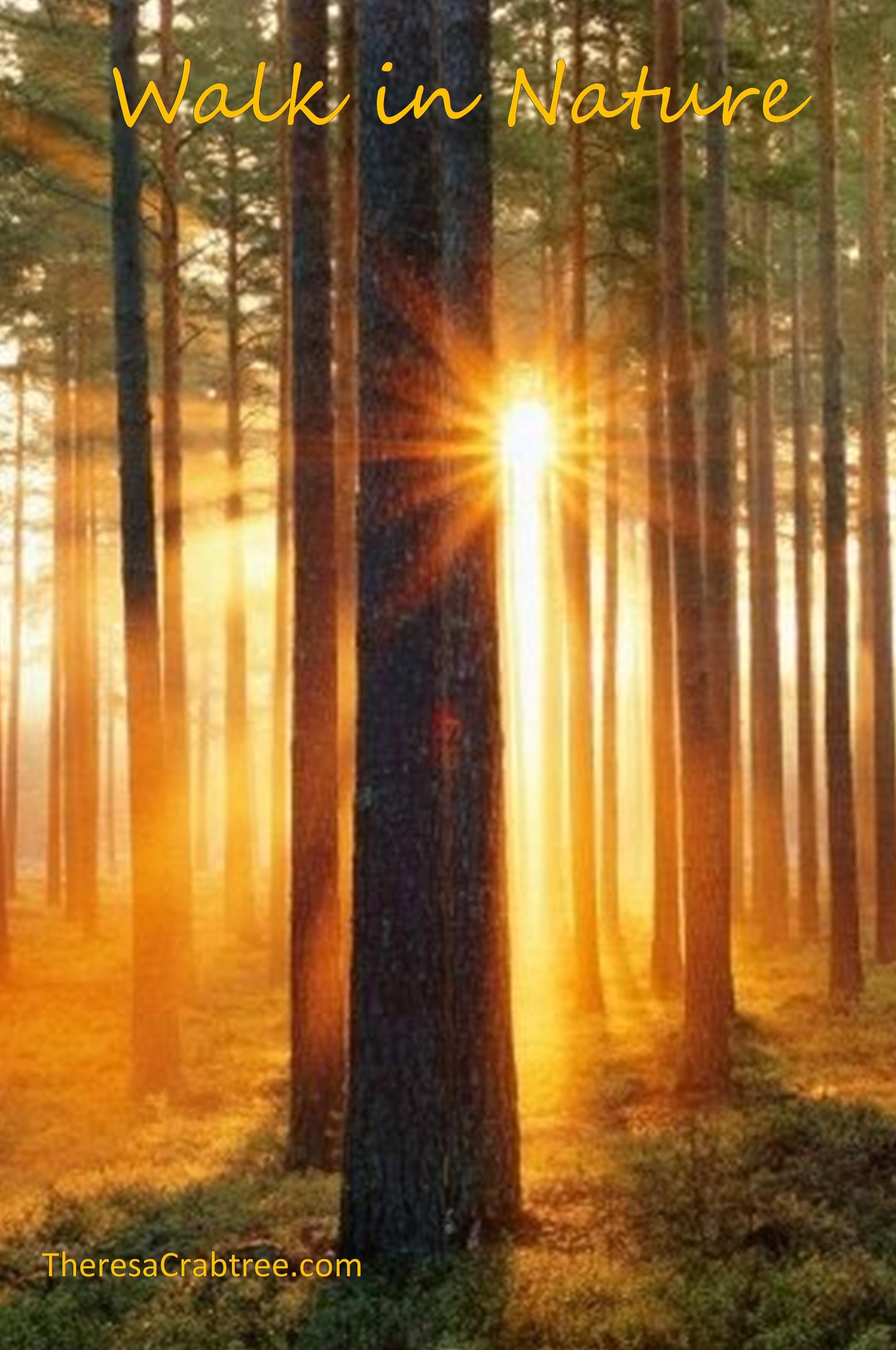 Read more about the article Walk in Nature