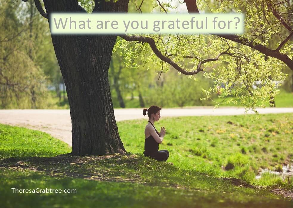 Read more about the article Gratitude