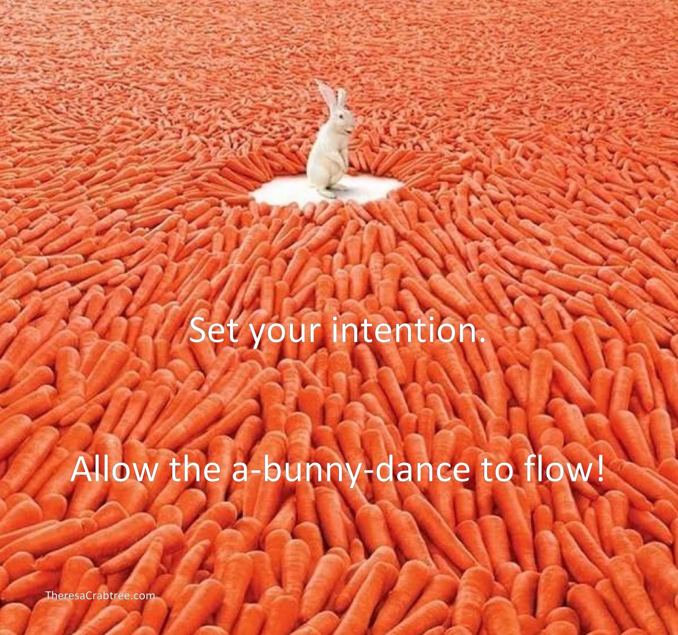 Read more about the article A-Bunny-Dance