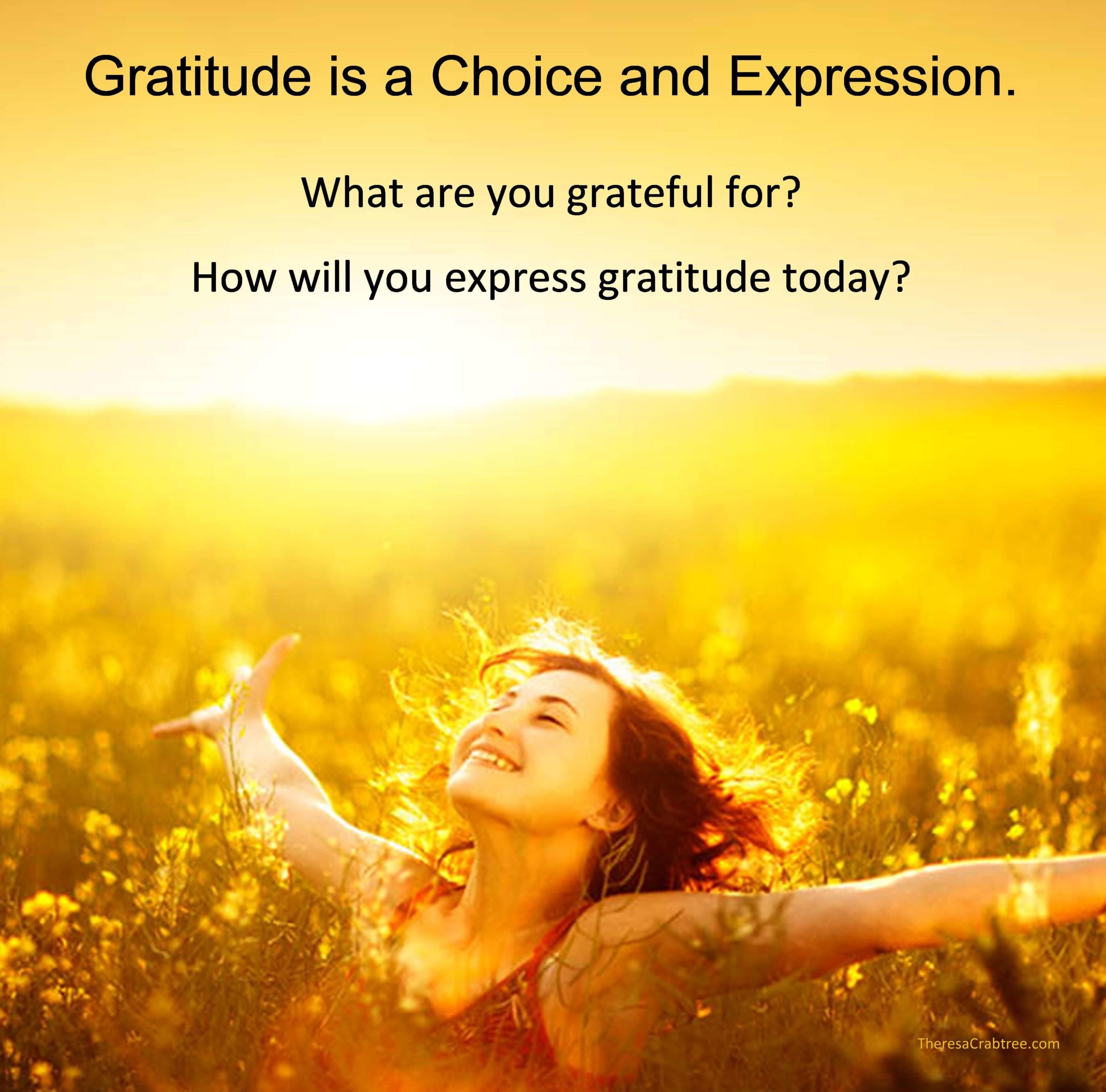 Read more about the article Gratitude