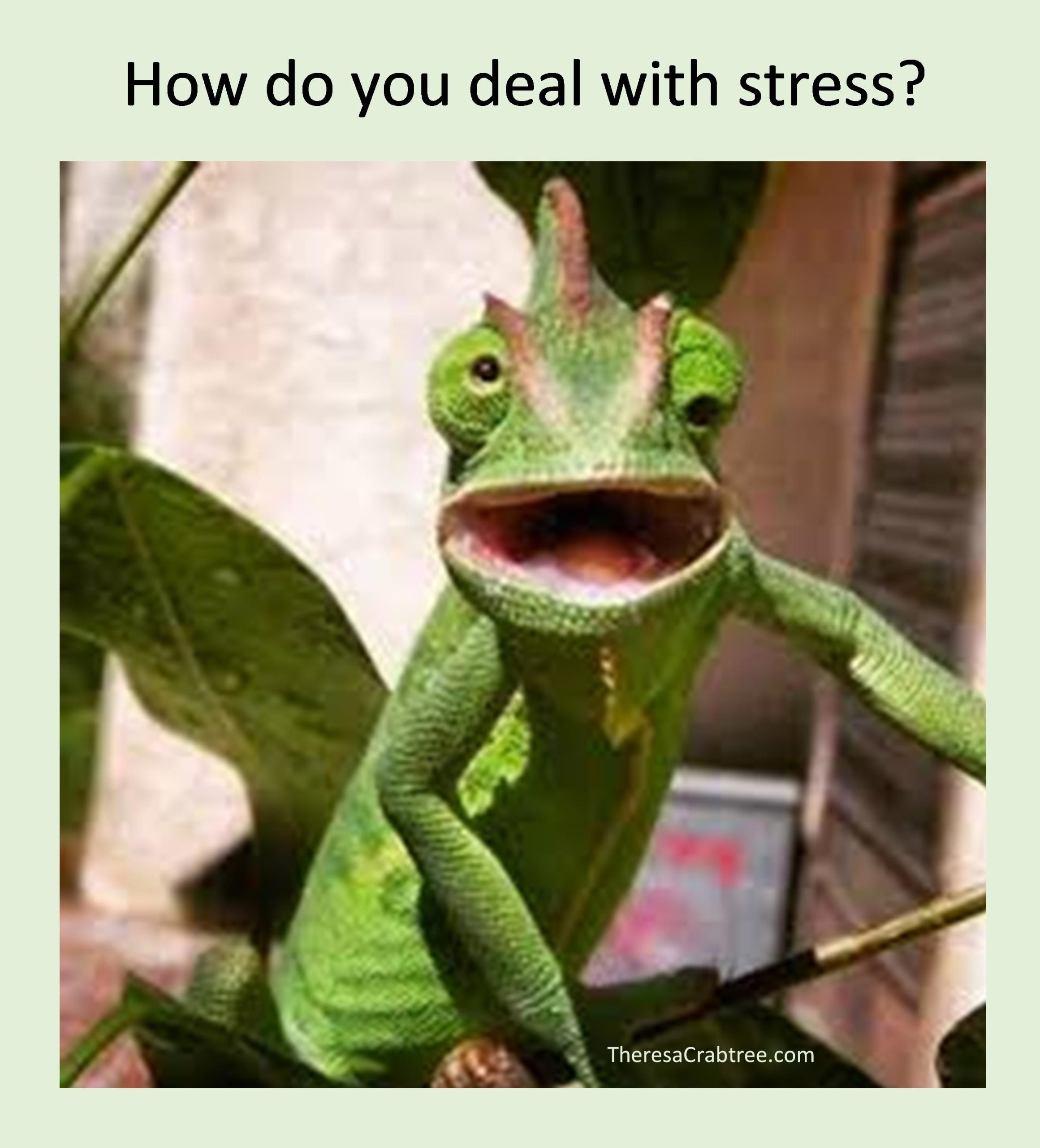 Read more about the article How do you deal with stress?