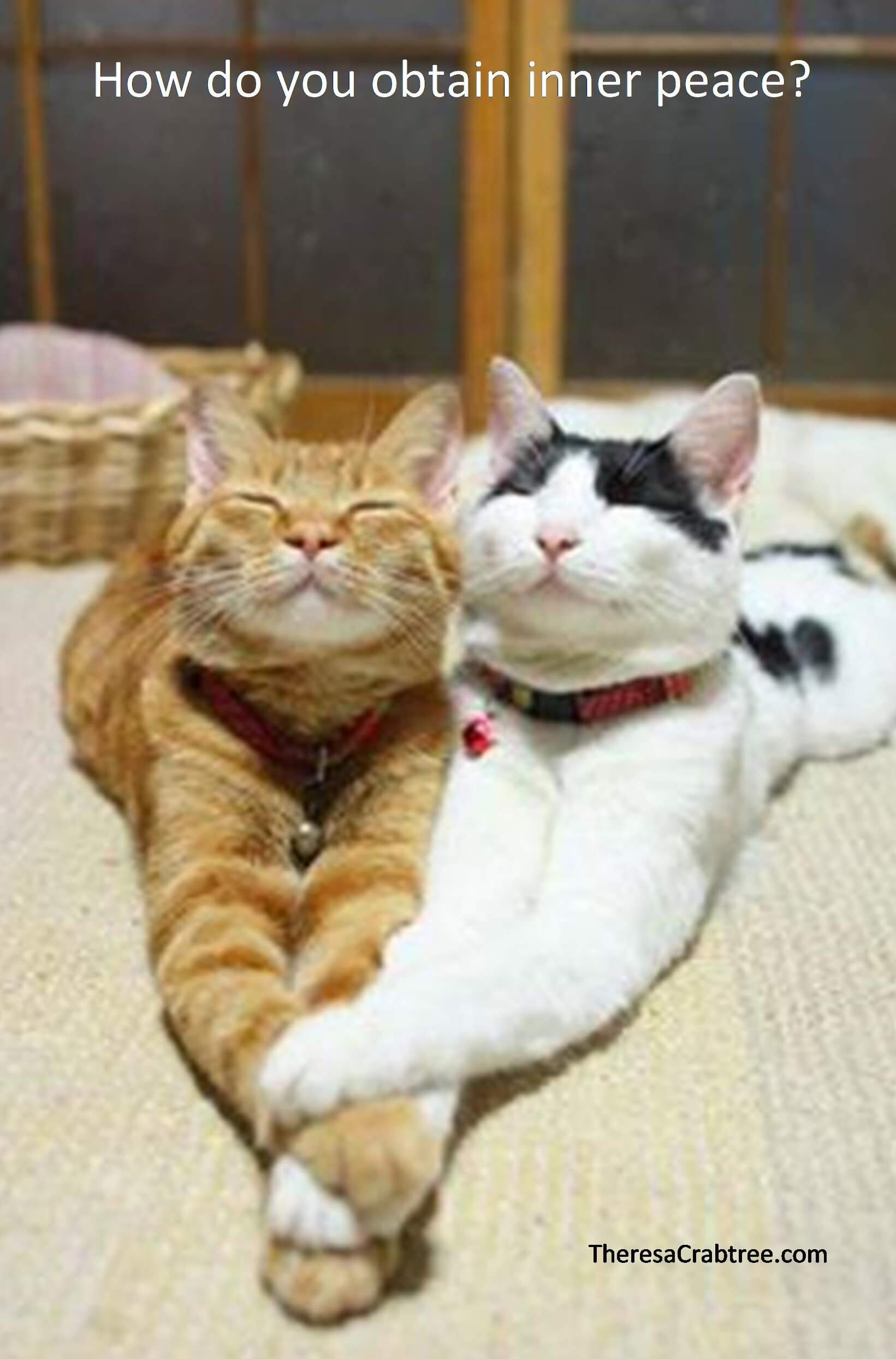 Read more about the article Inner Peace