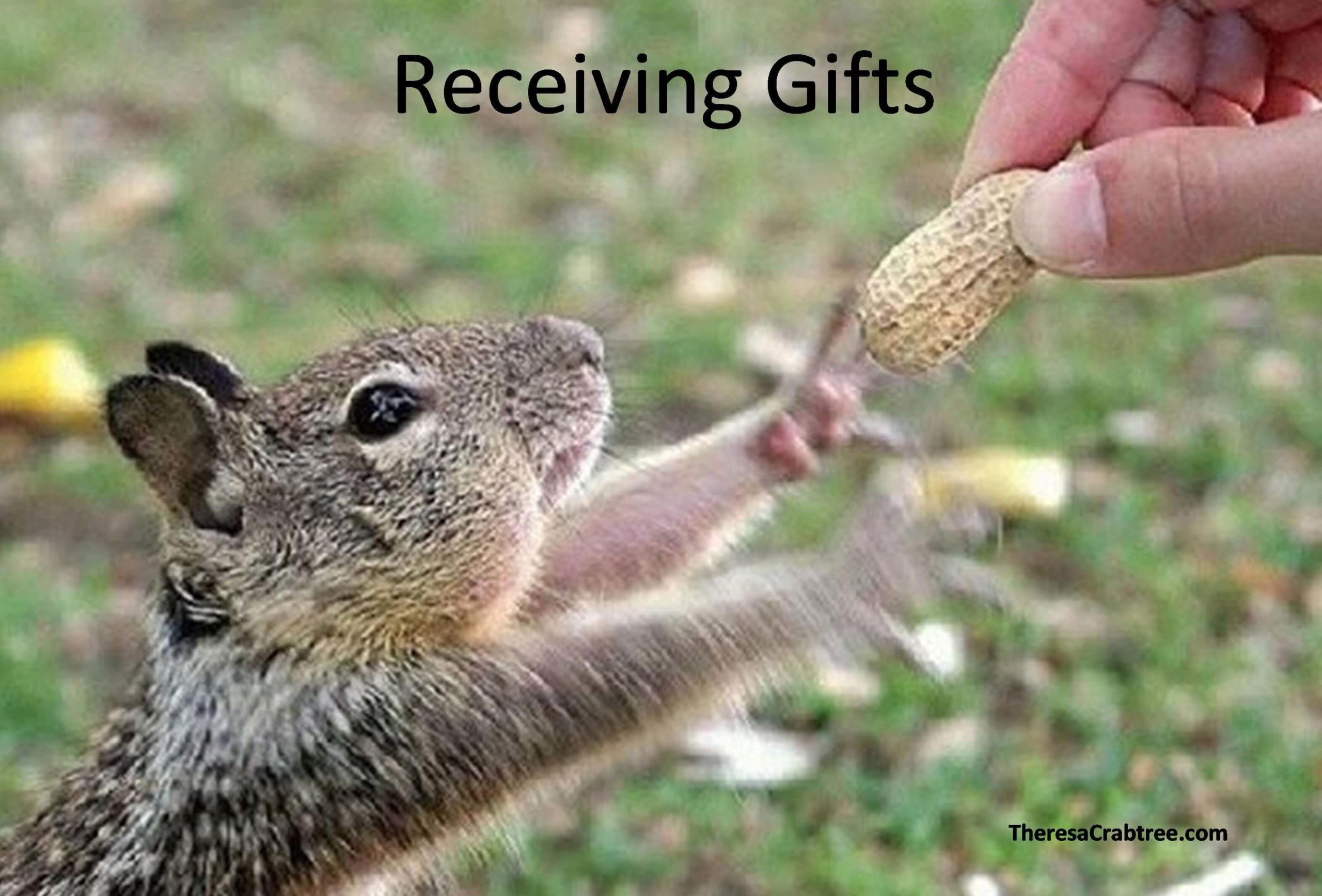 Read more about the article Receiving Gifts