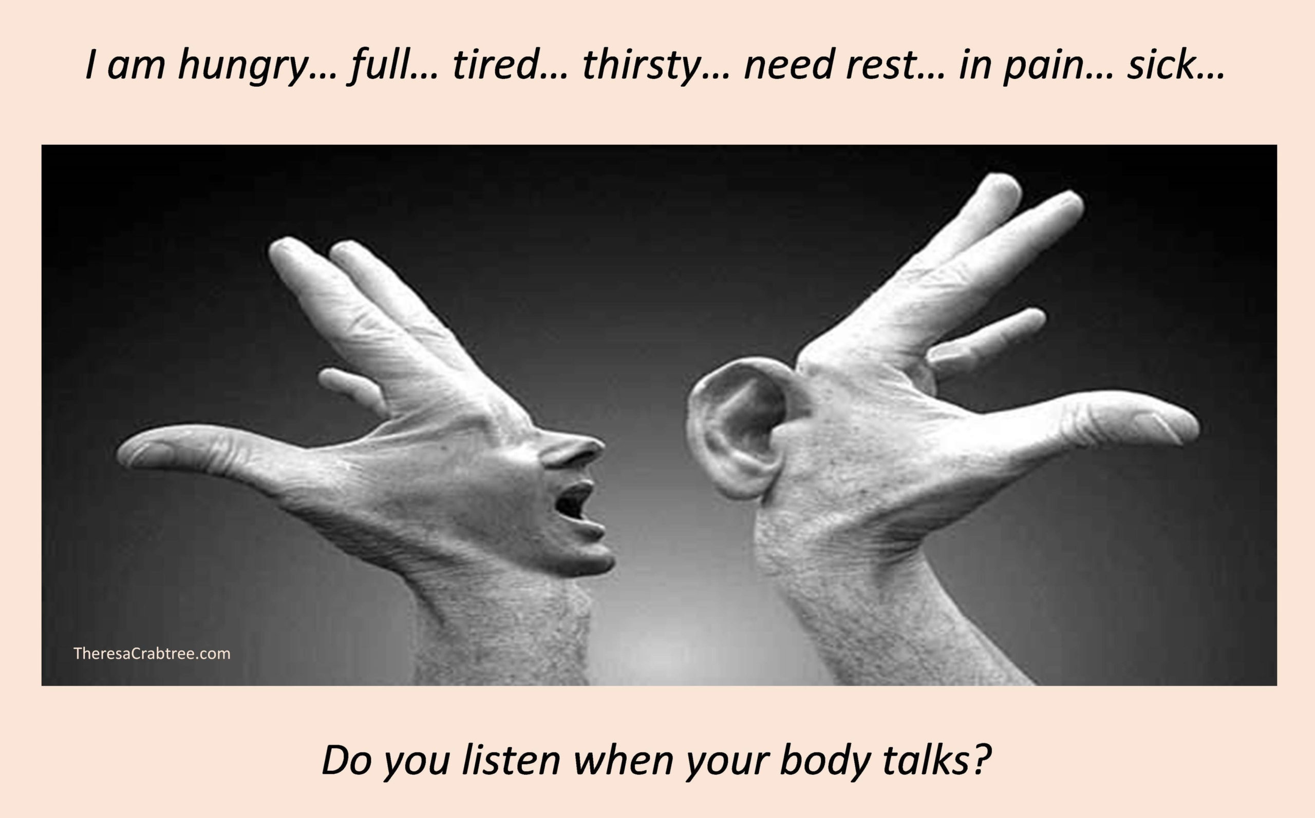 Read more about the article Body Talks