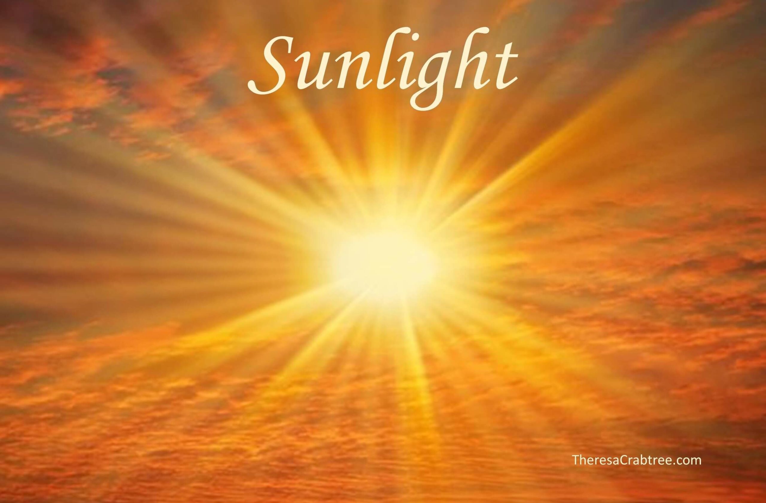 Read more about the article Sunlight