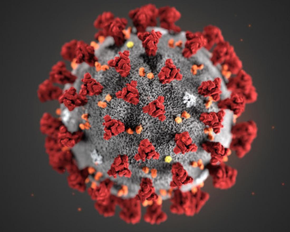 Read more about the article Coronavirus Blessings