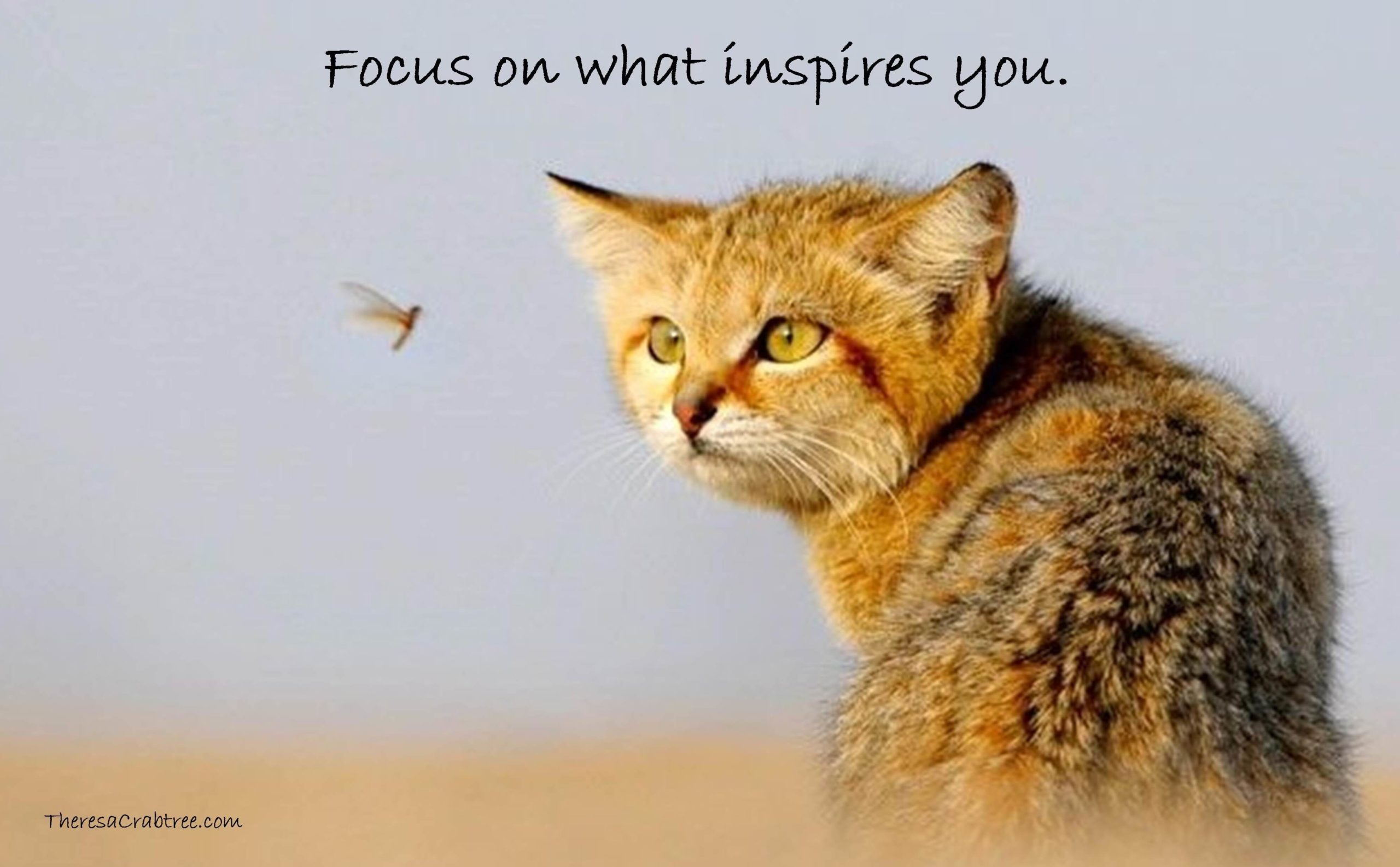 Read more about the article Inspiration