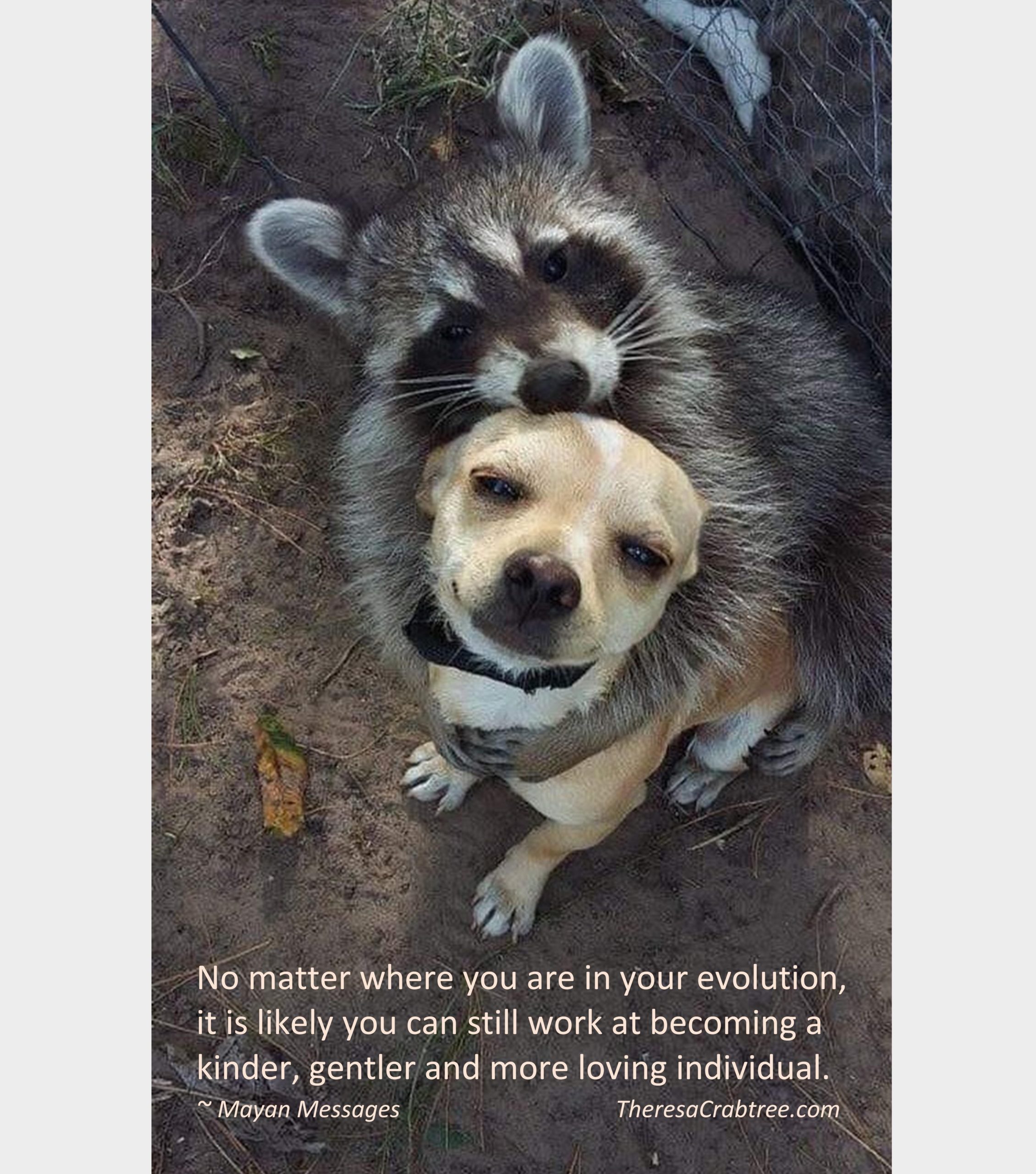 Read more about the article Be Kind Today