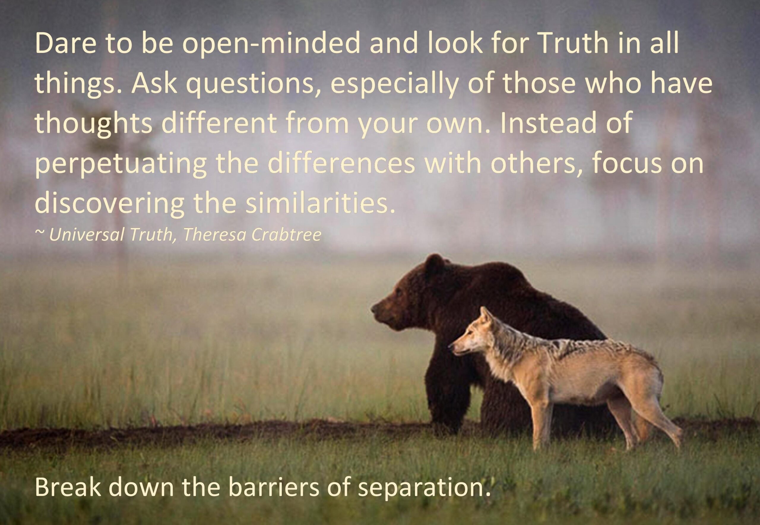 Read more about the article Separation