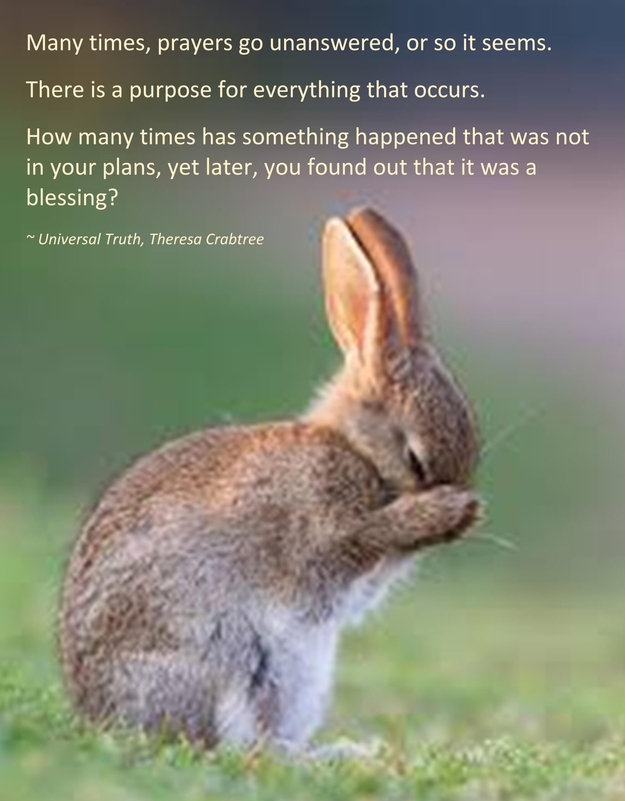Read more about the article Unanswered Prayers
