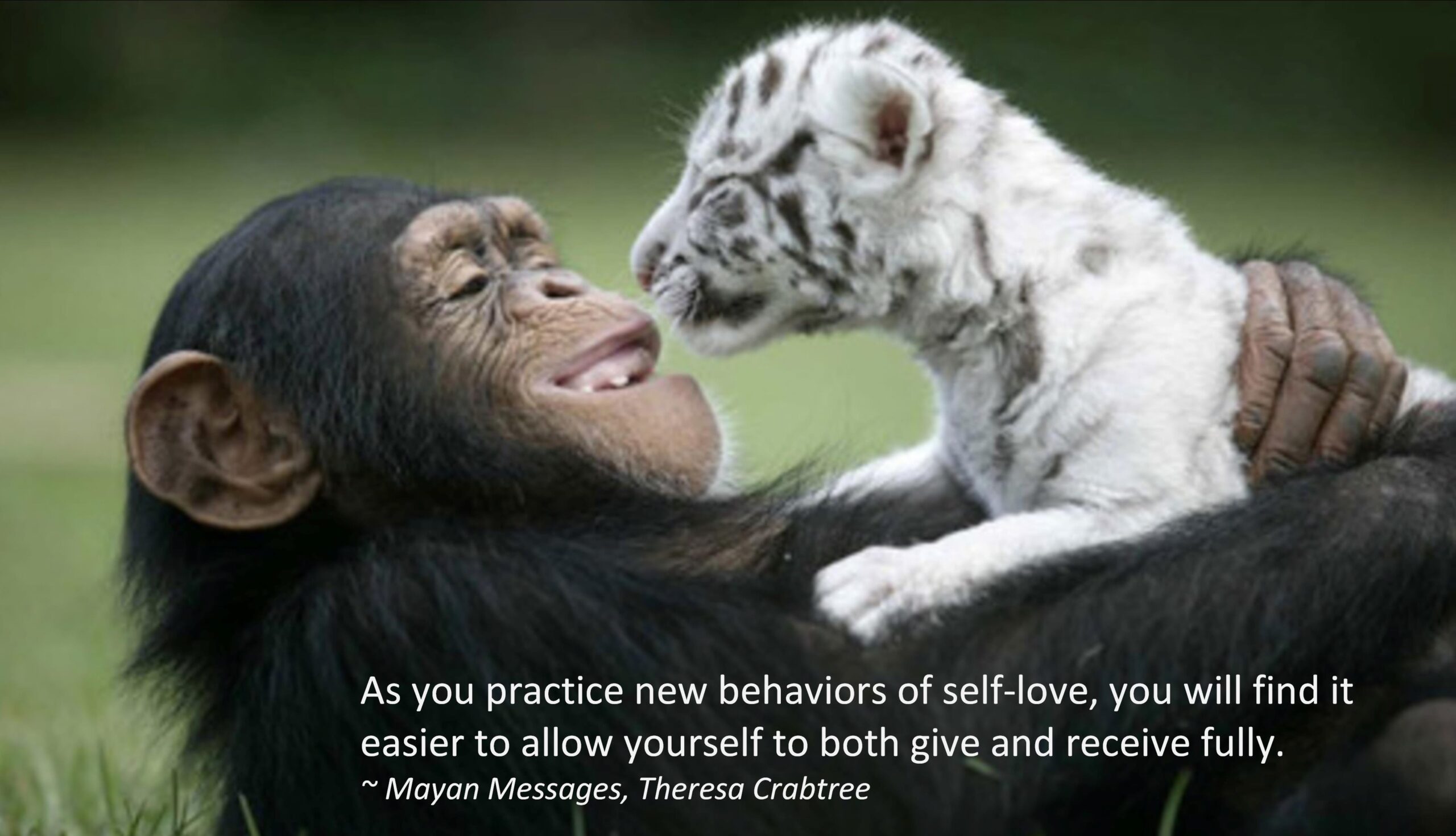 Read more about the article Give and Receive