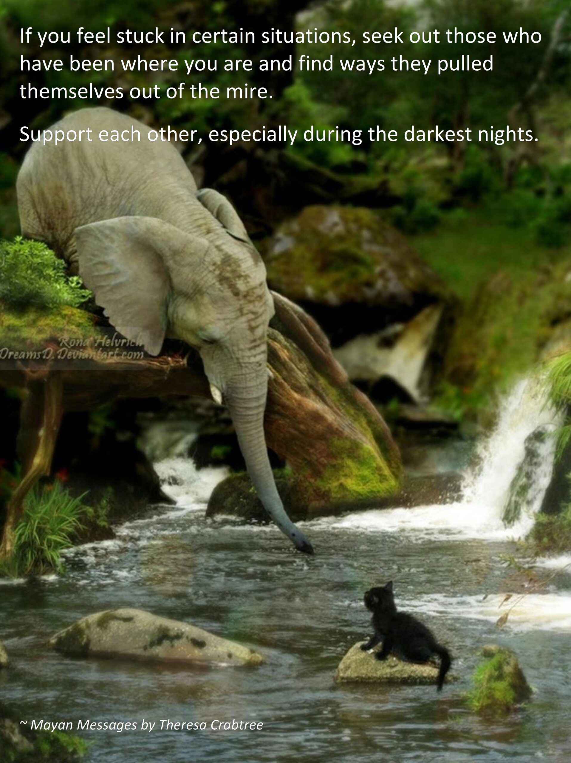 Read more about the article Help Others