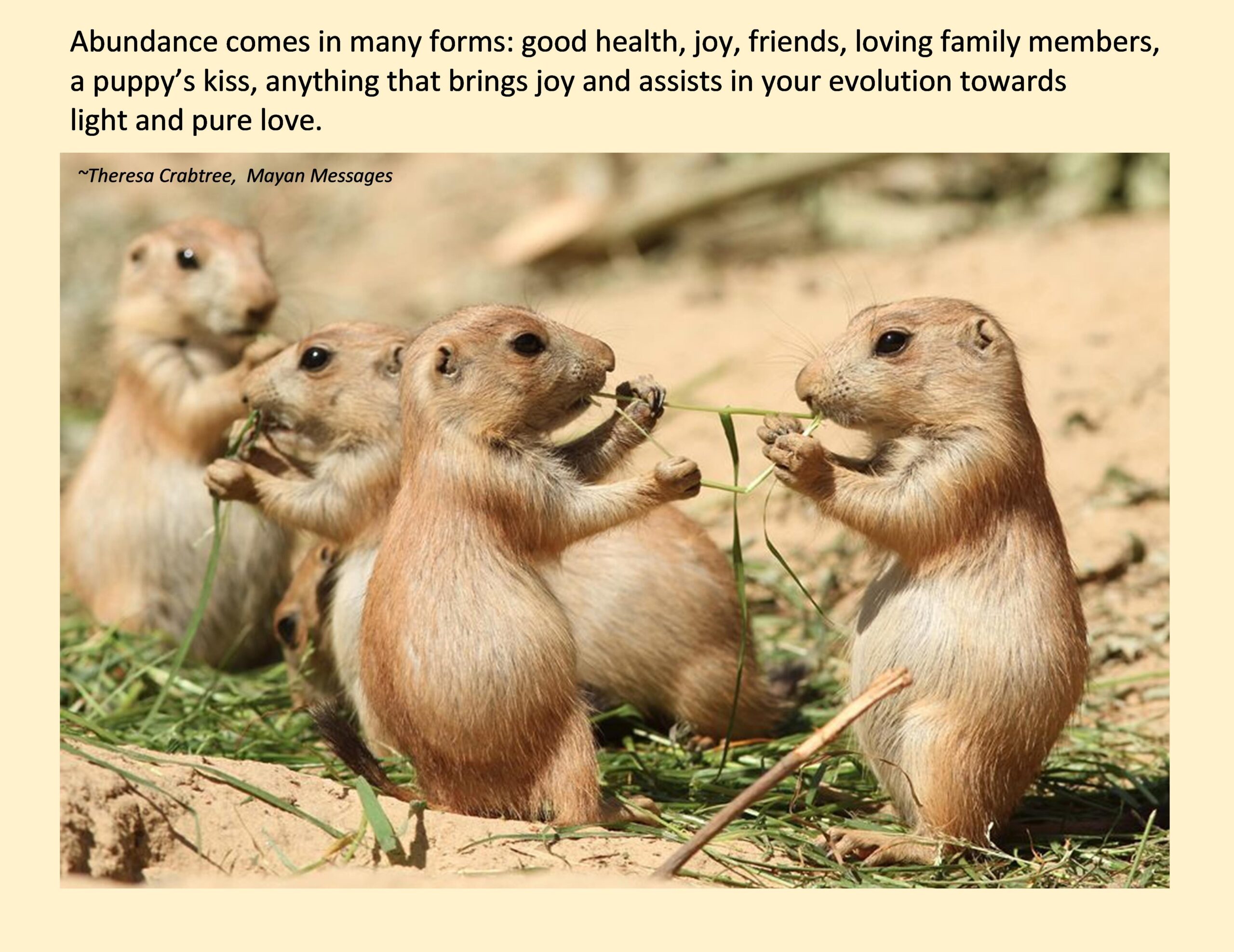 Read more about the article Abundance in many forms