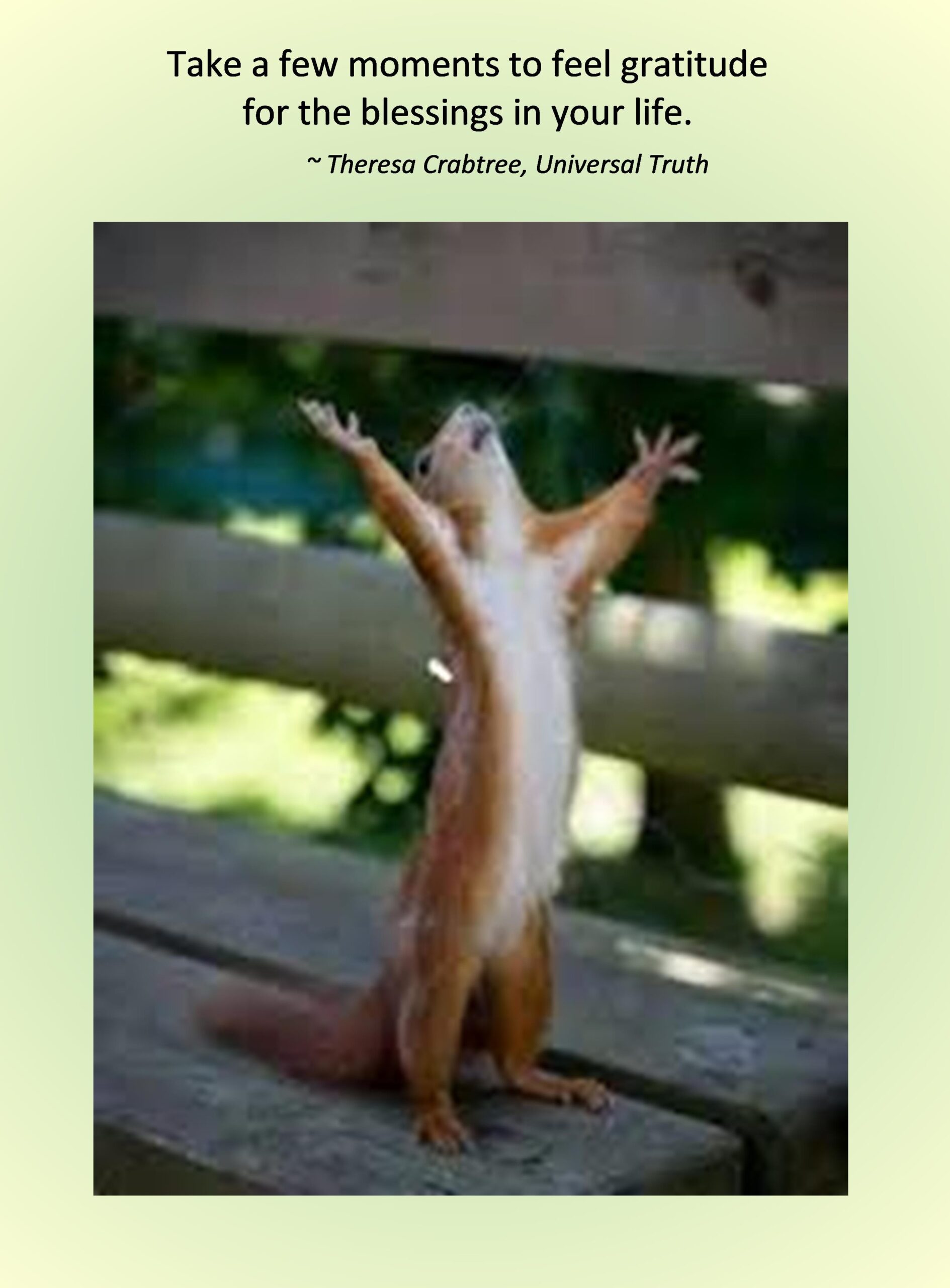 Read more about the article Gratitude Reminders