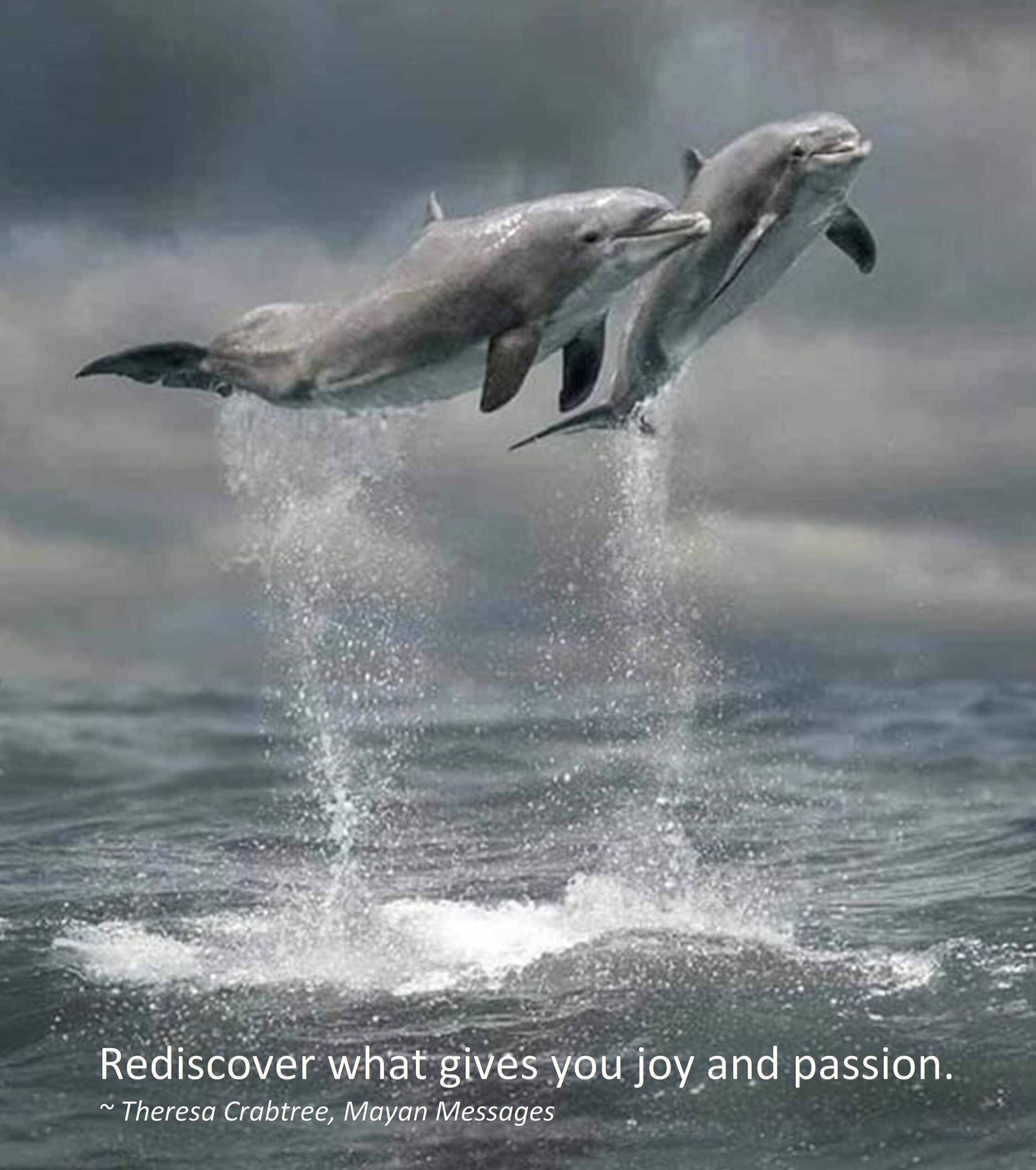 Read more about the article Rediscover Joy and Passion!