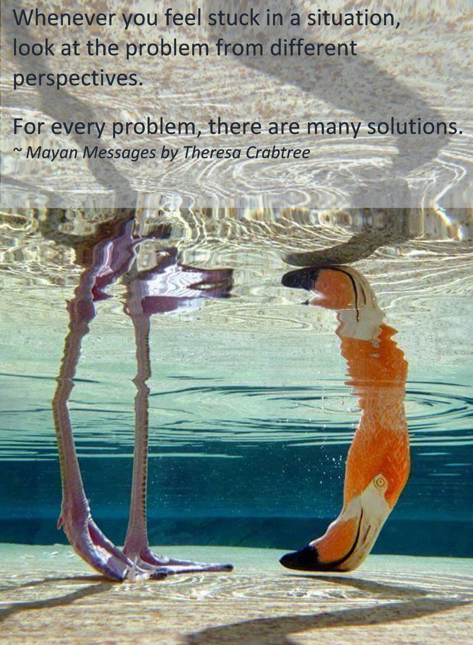 Read more about the article Perspectives
