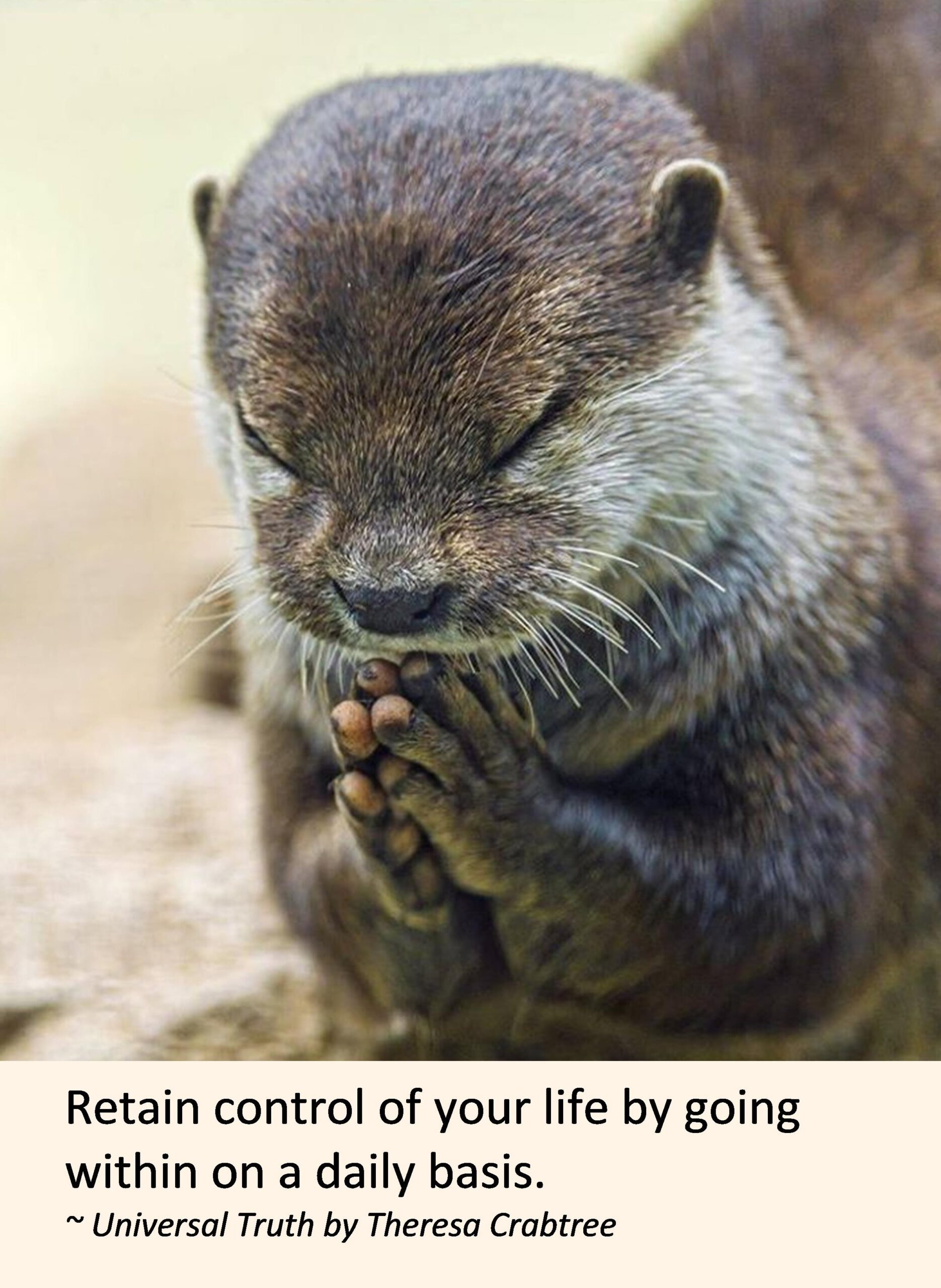 Read more about the article Go Within