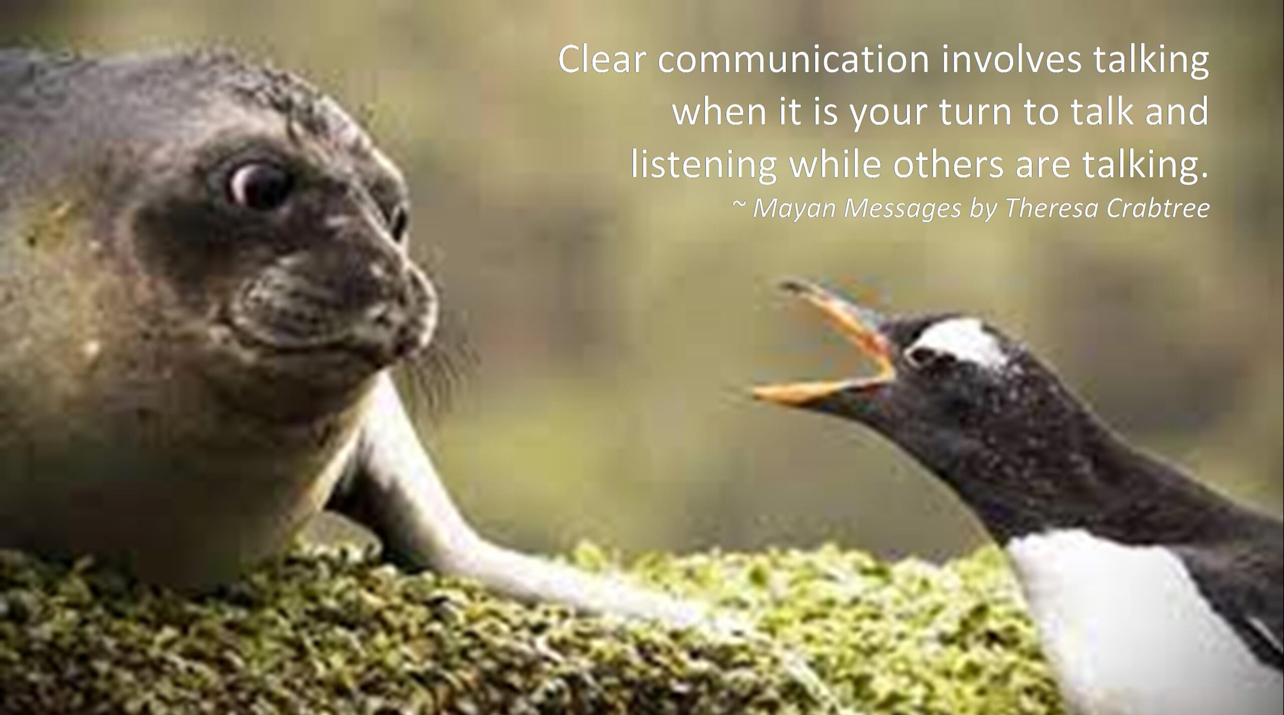 Read more about the article Communication
