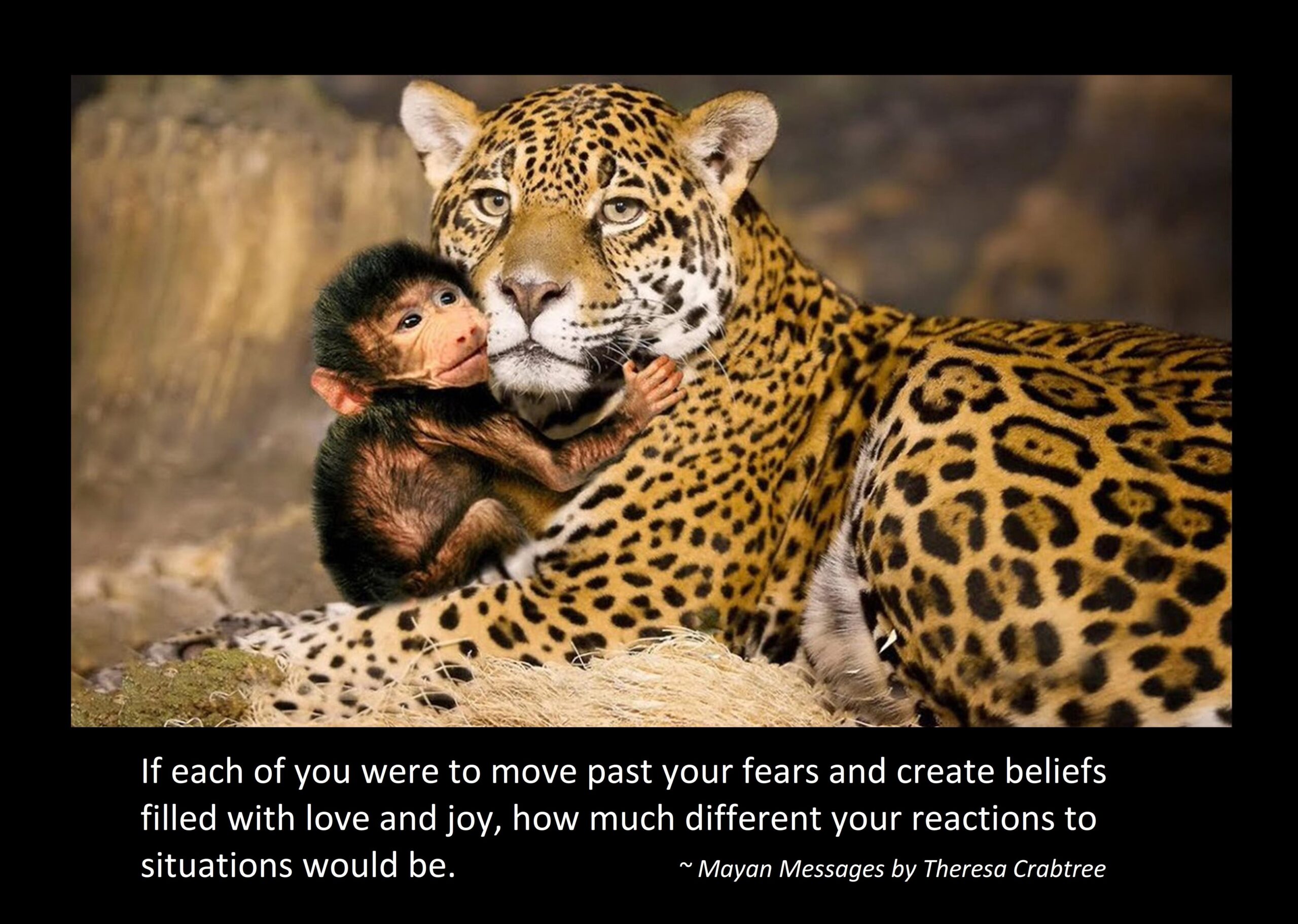 Read more about the article Beliefs