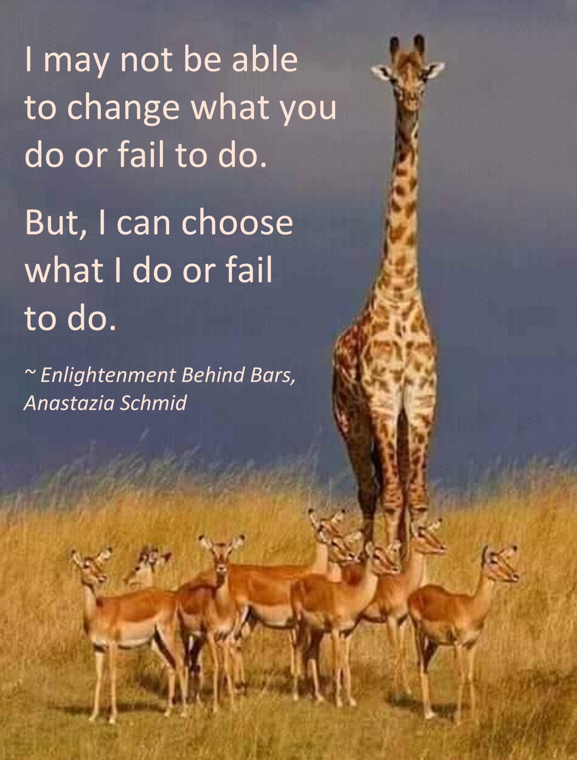 Read more about the article Choices