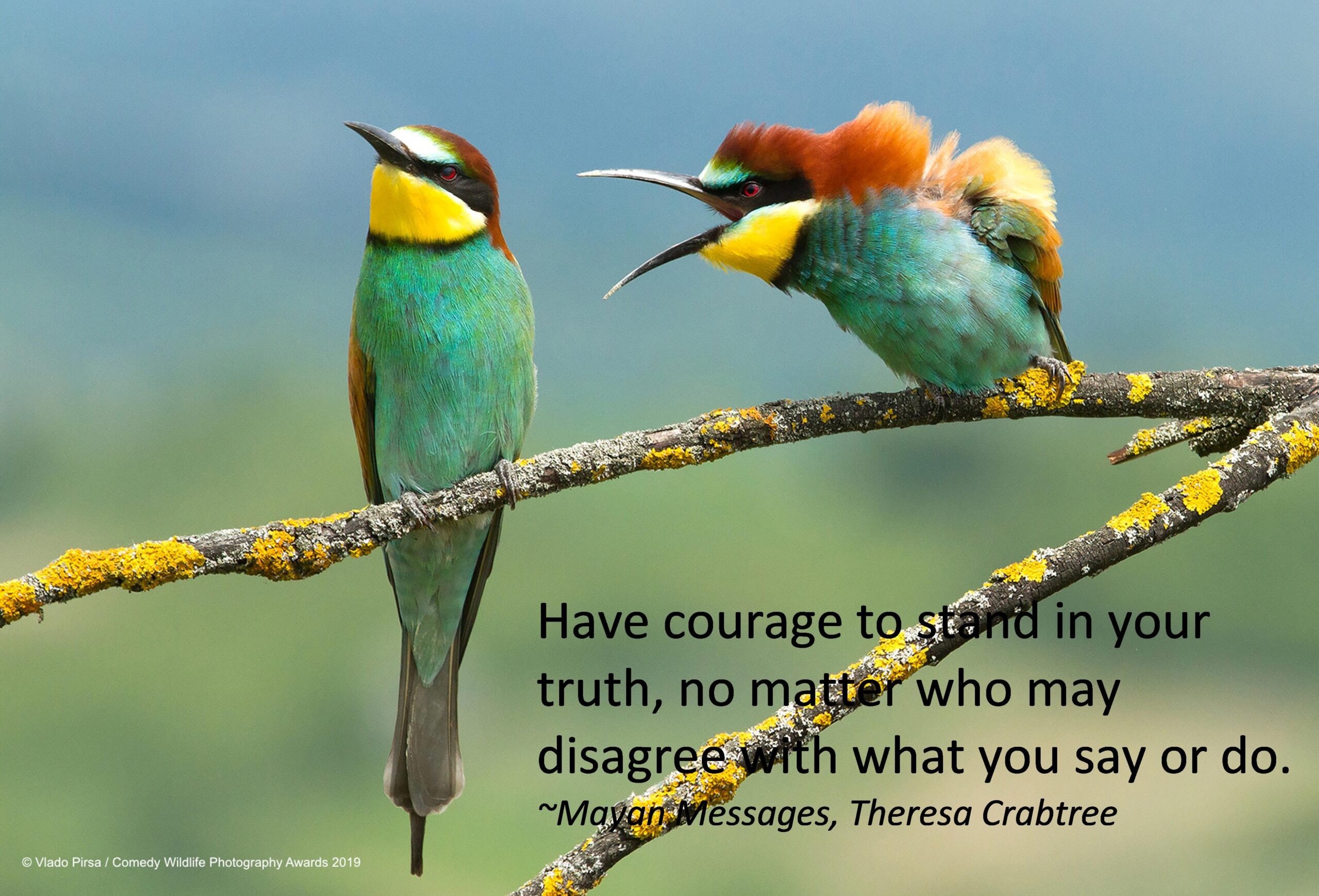 Read more about the article Courage