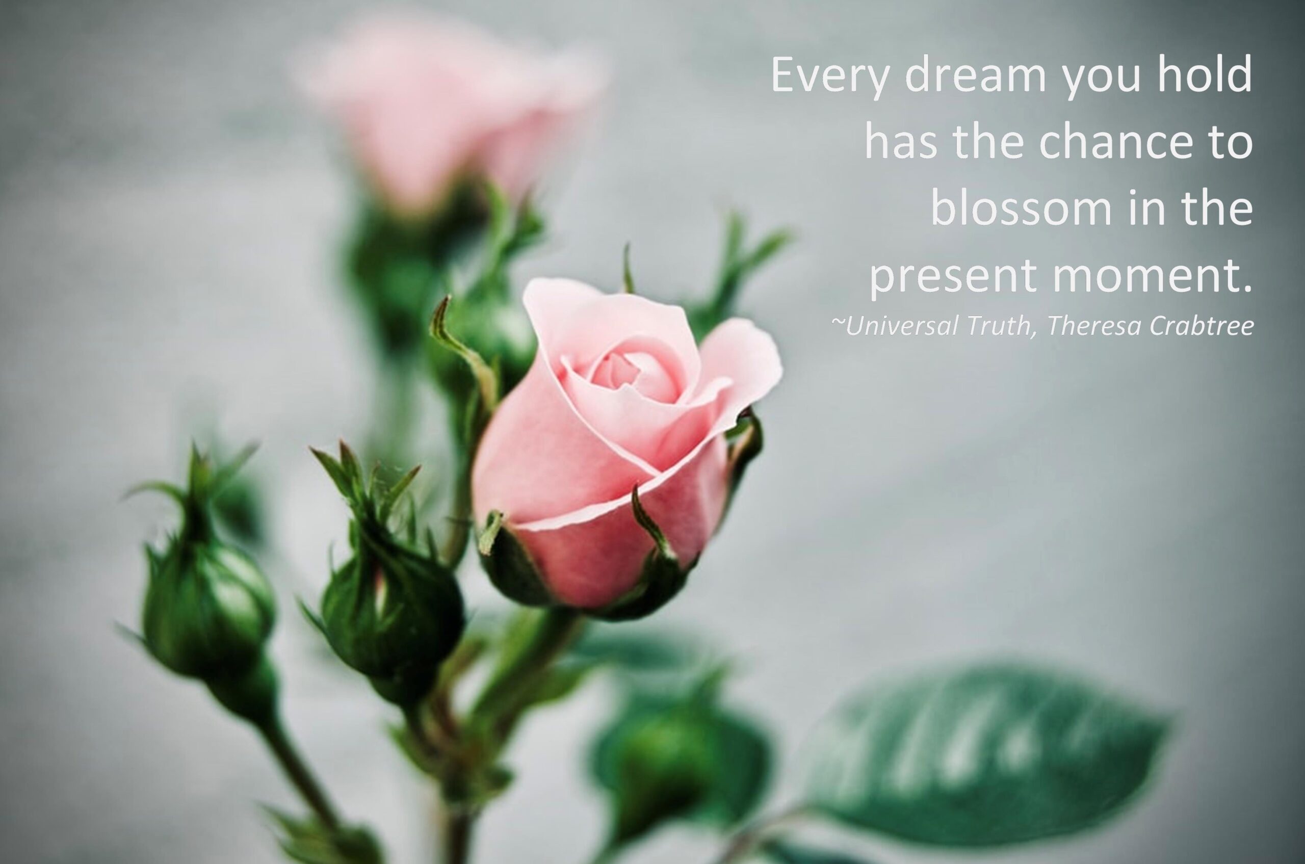 Read more about the article Dream