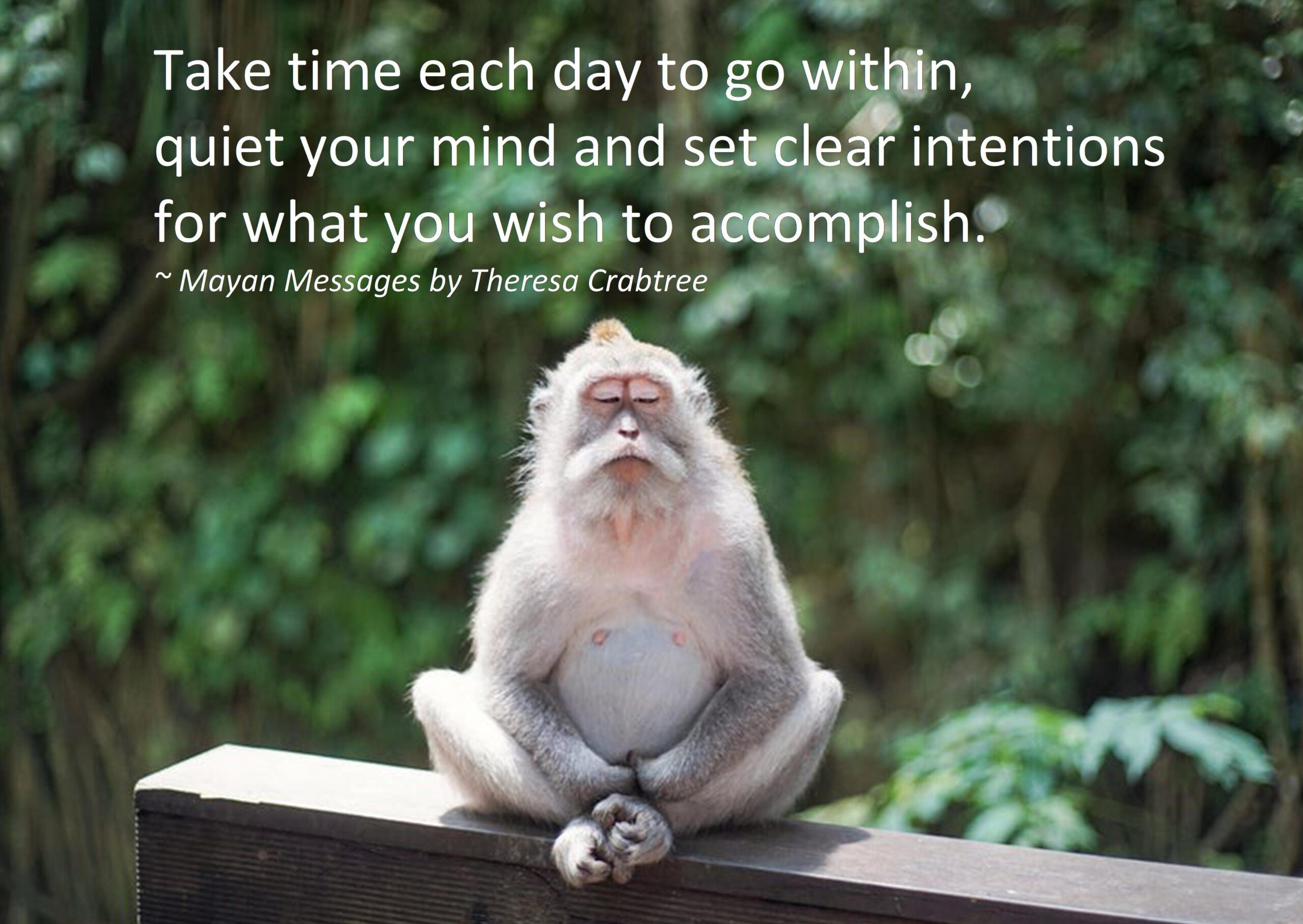 Read more about the article Go Within