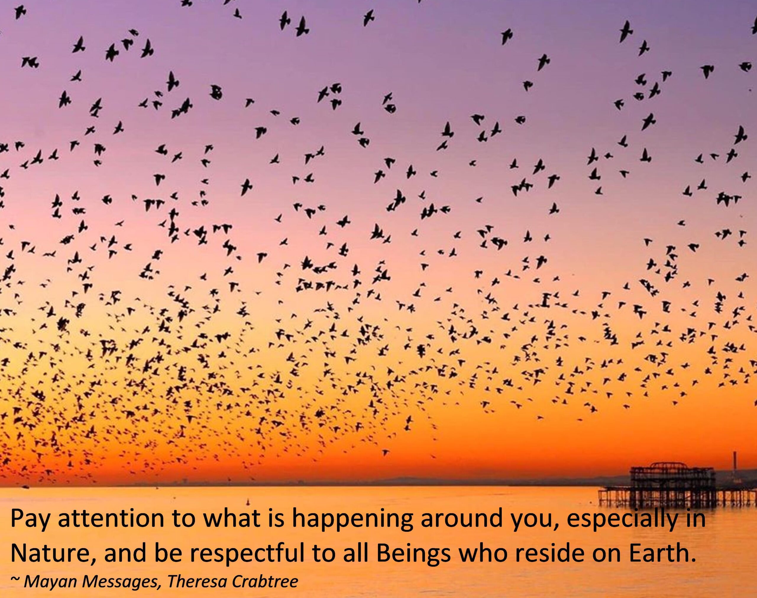Read more about the article Be respectful