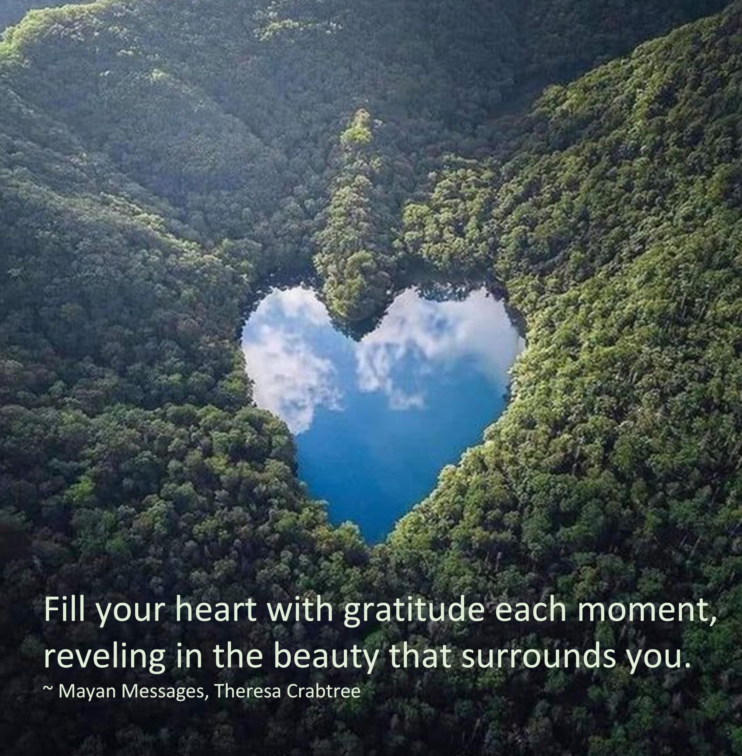 Read more about the article Gratitude